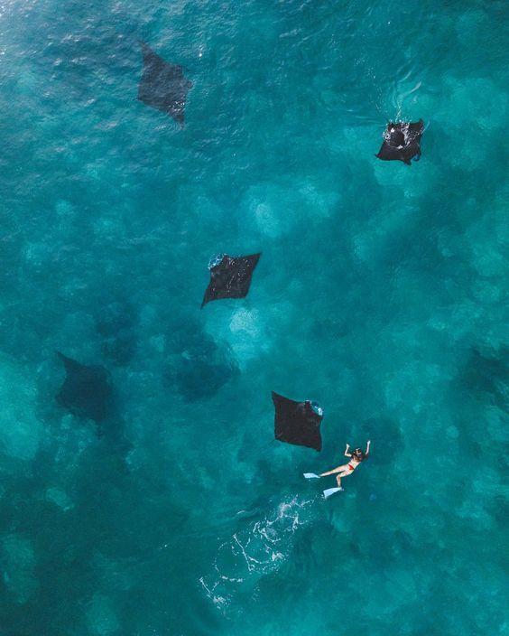 Чистый Драйв внутри Тебя! (12/51)