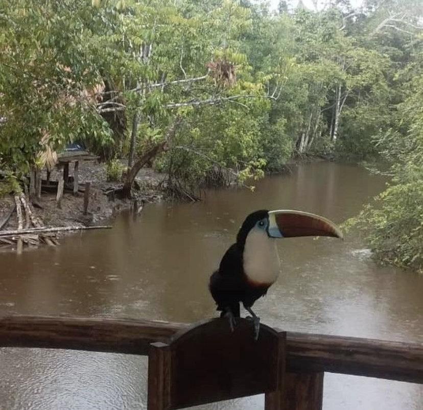 Венесуэла - большое путешествие в затерянные миры (индивидуально) (34/51)