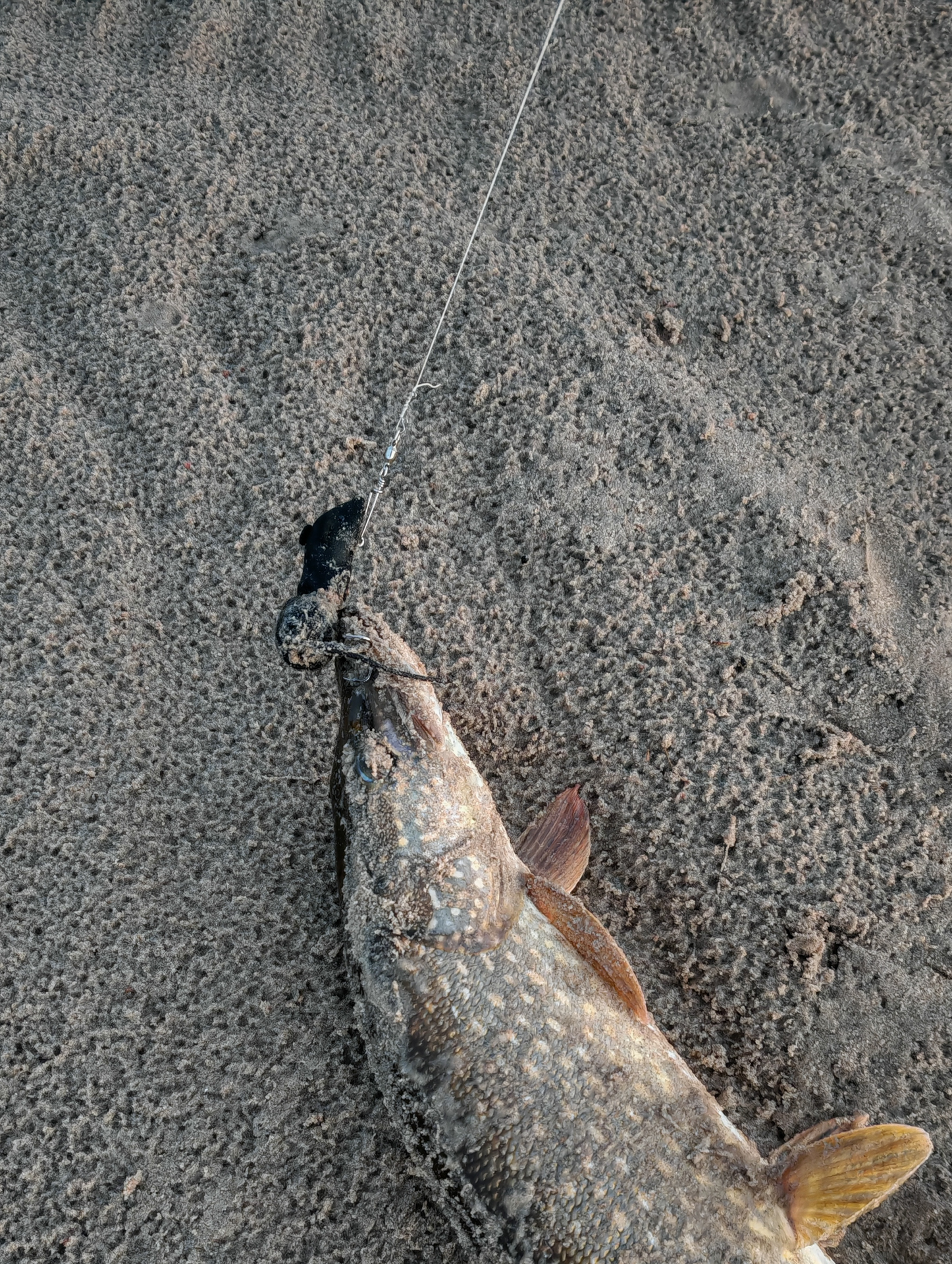 Сплав-отдых-рыбалка на реке Вилюй (19/20)