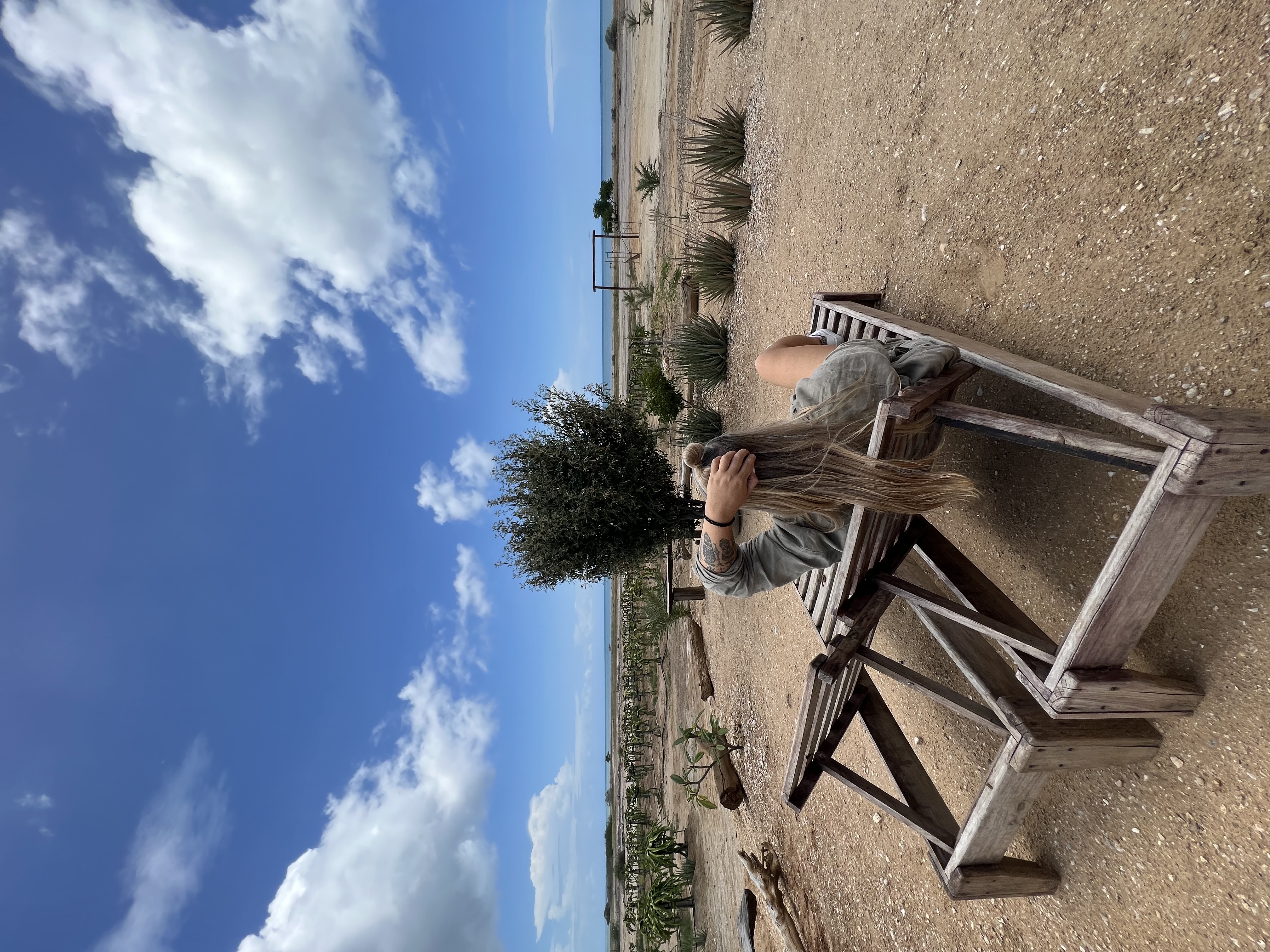 Венесуэла - большое путешествие в затерянные миры (индивидуально) (27/51)