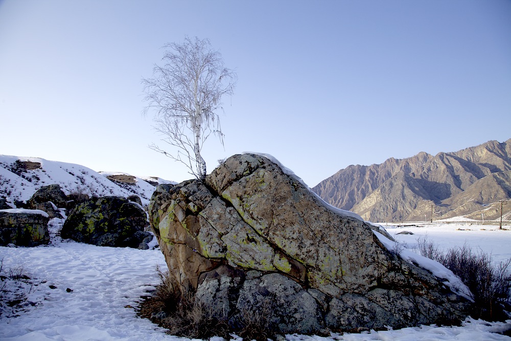 Новый Год в Чулышманской Долине (2/41)