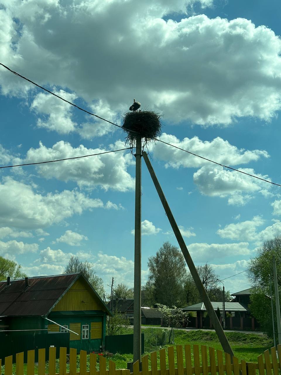 Сула + Обзорная экскурсия по Минску