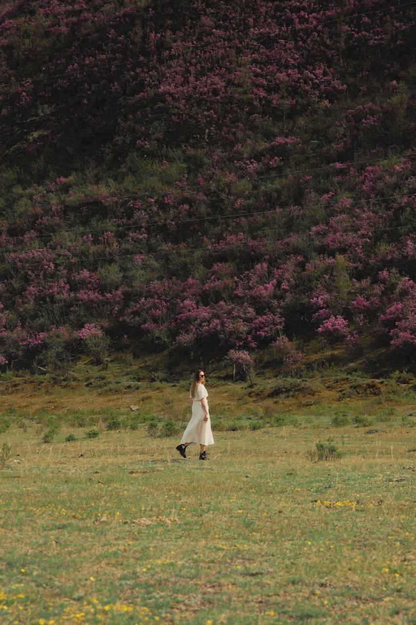 4 дня на Алтае. Майские