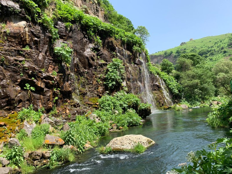 Изобильная Грузия (73/128)