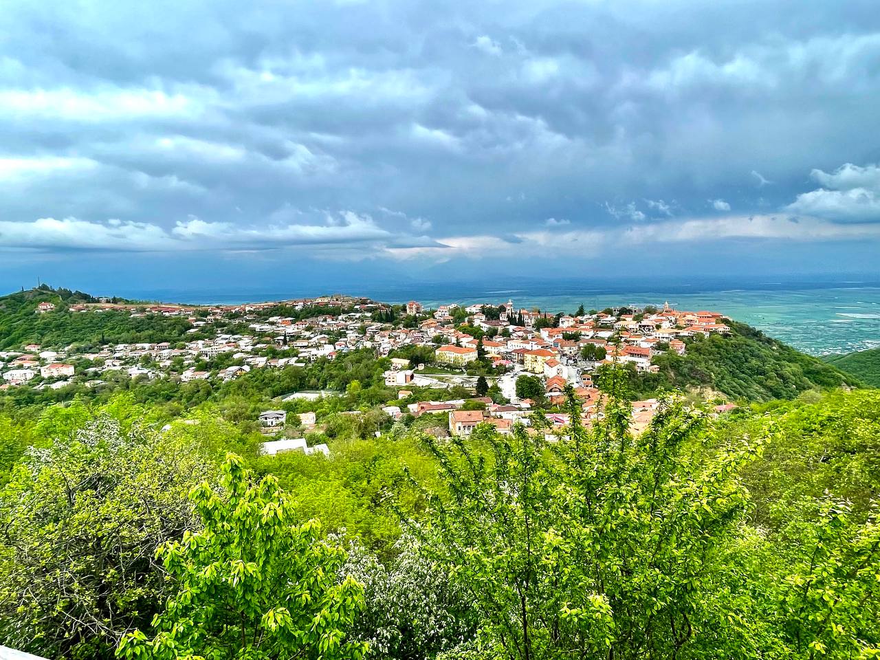 Изобильная Грузия (43/128)