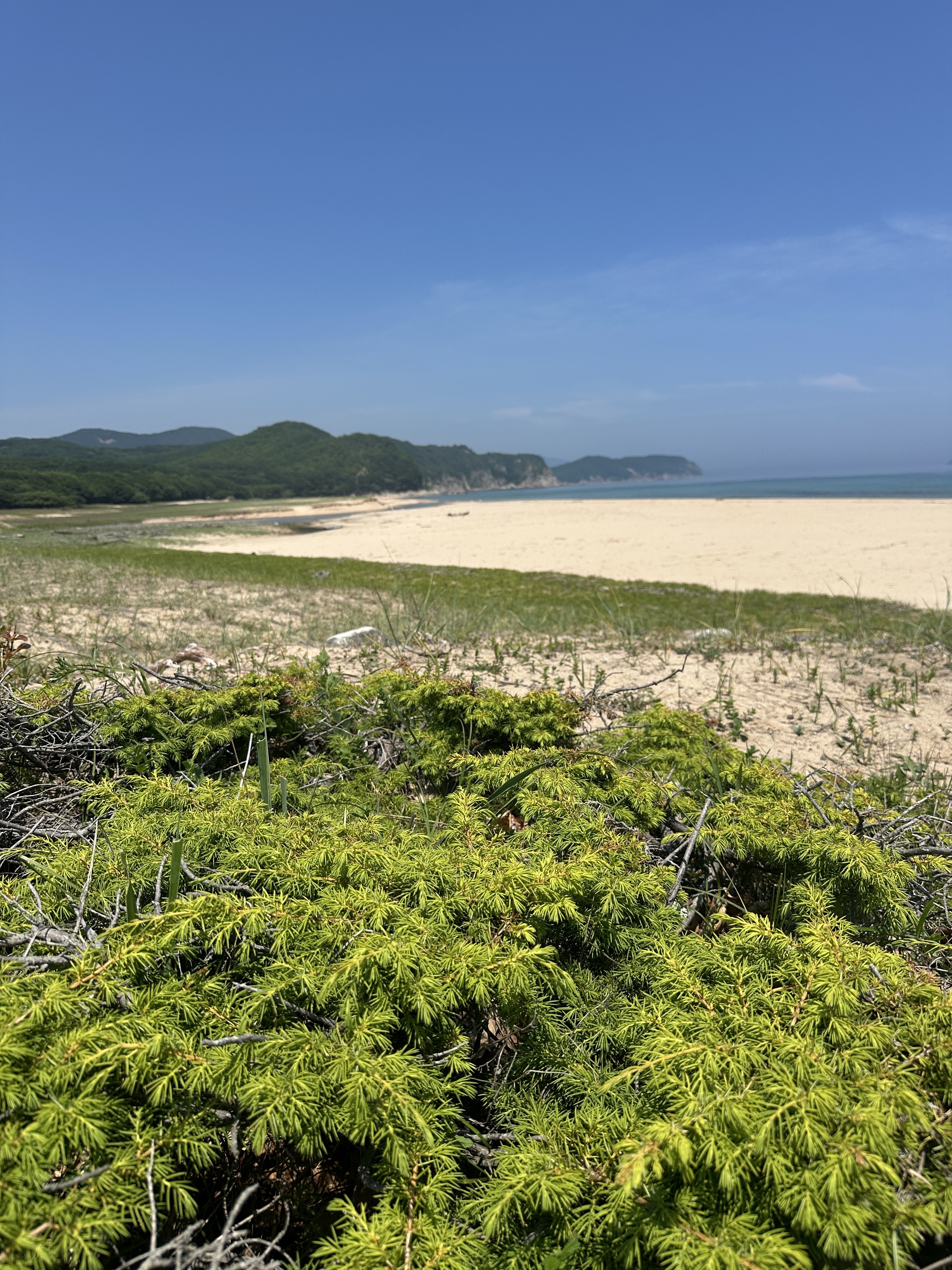 Бархатное Приморье. Полкрая за 10 дней с комфортом. (15/57)