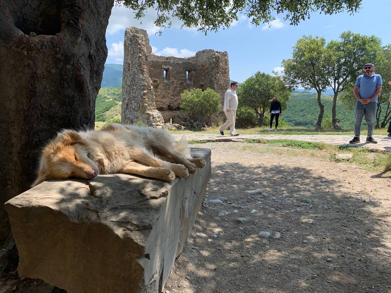 Изобильная Грузия (94/128)