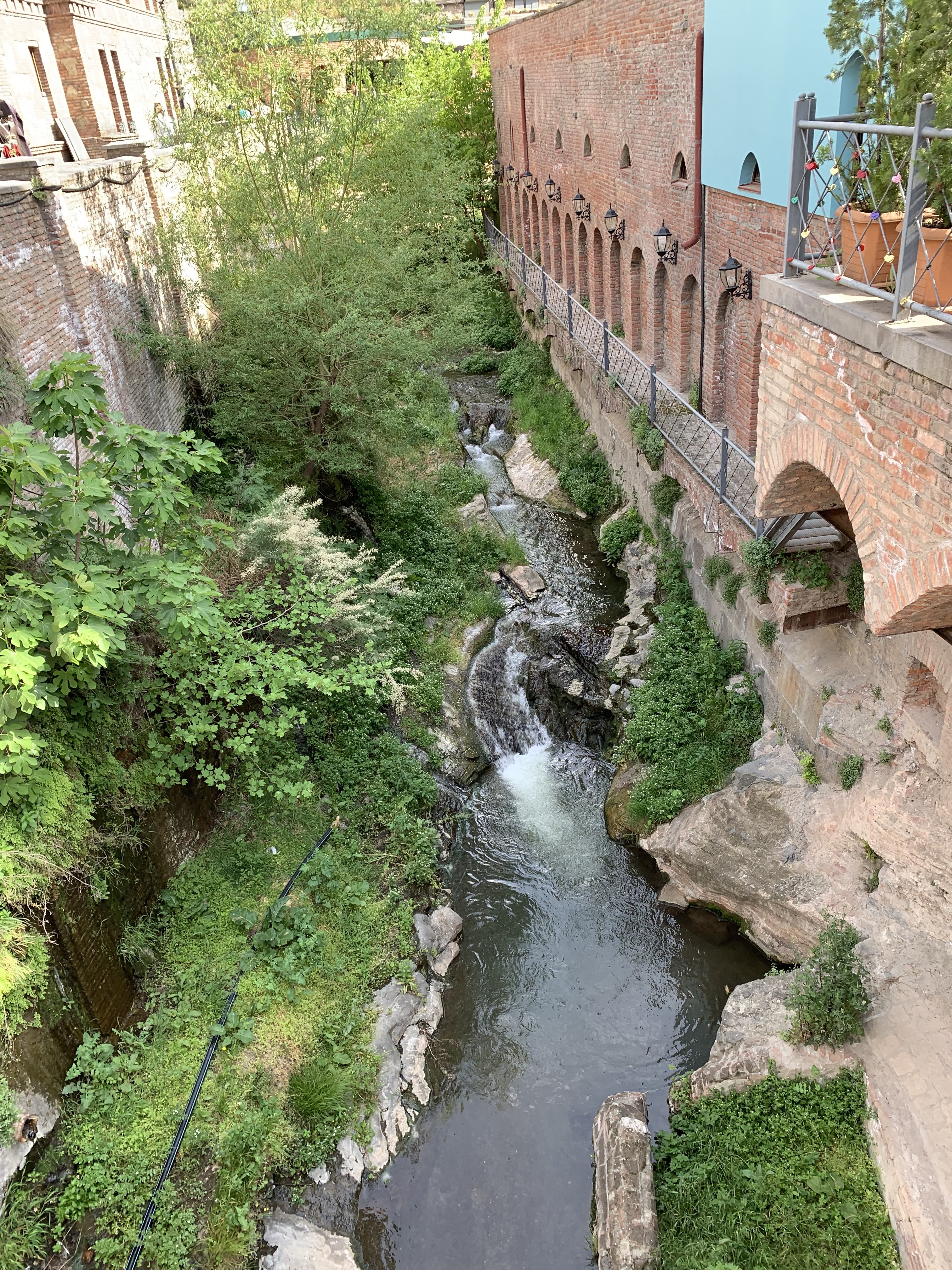 Изобильная Грузия (66/128)