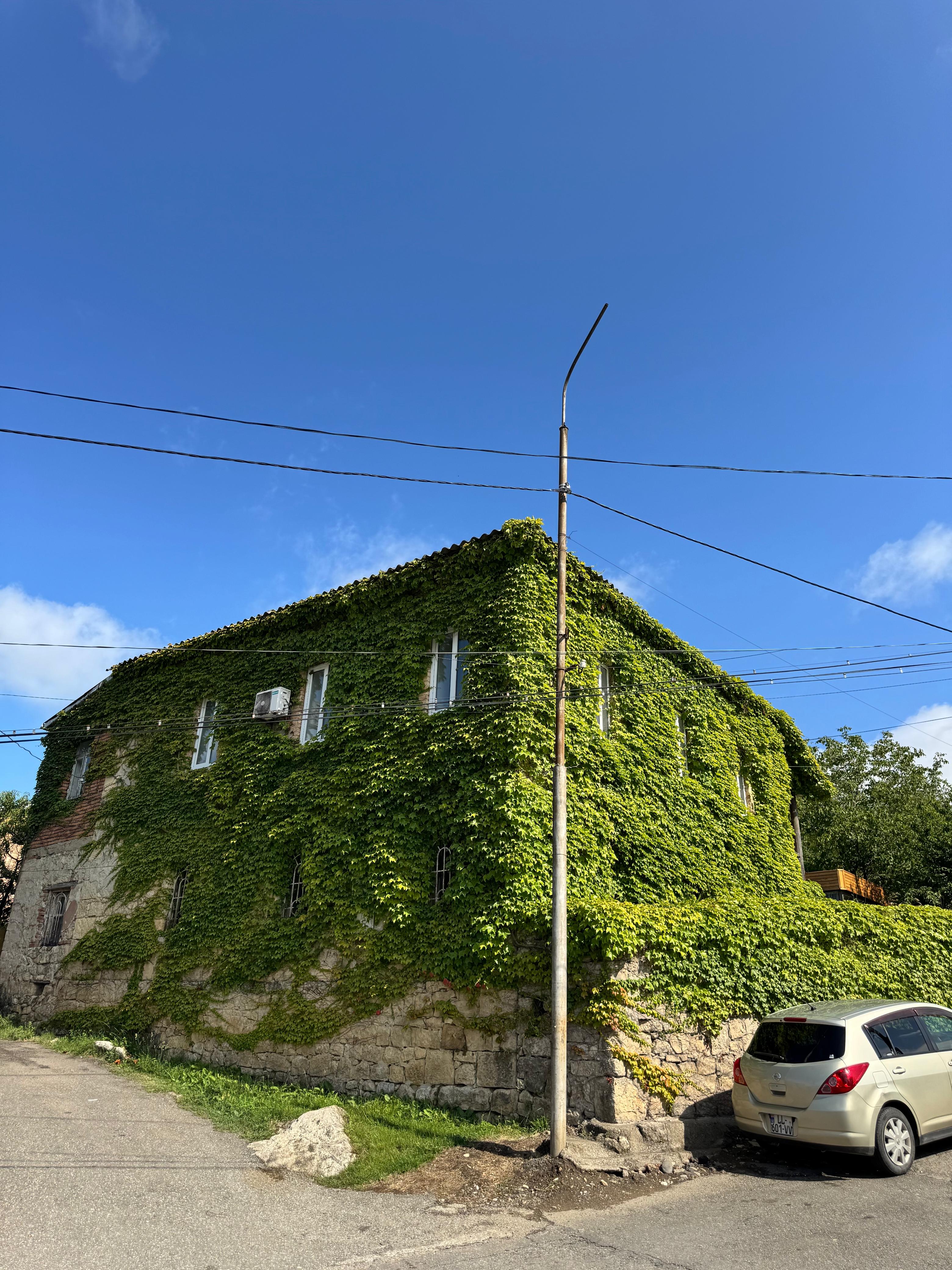 Изобильная Грузия (46/128)