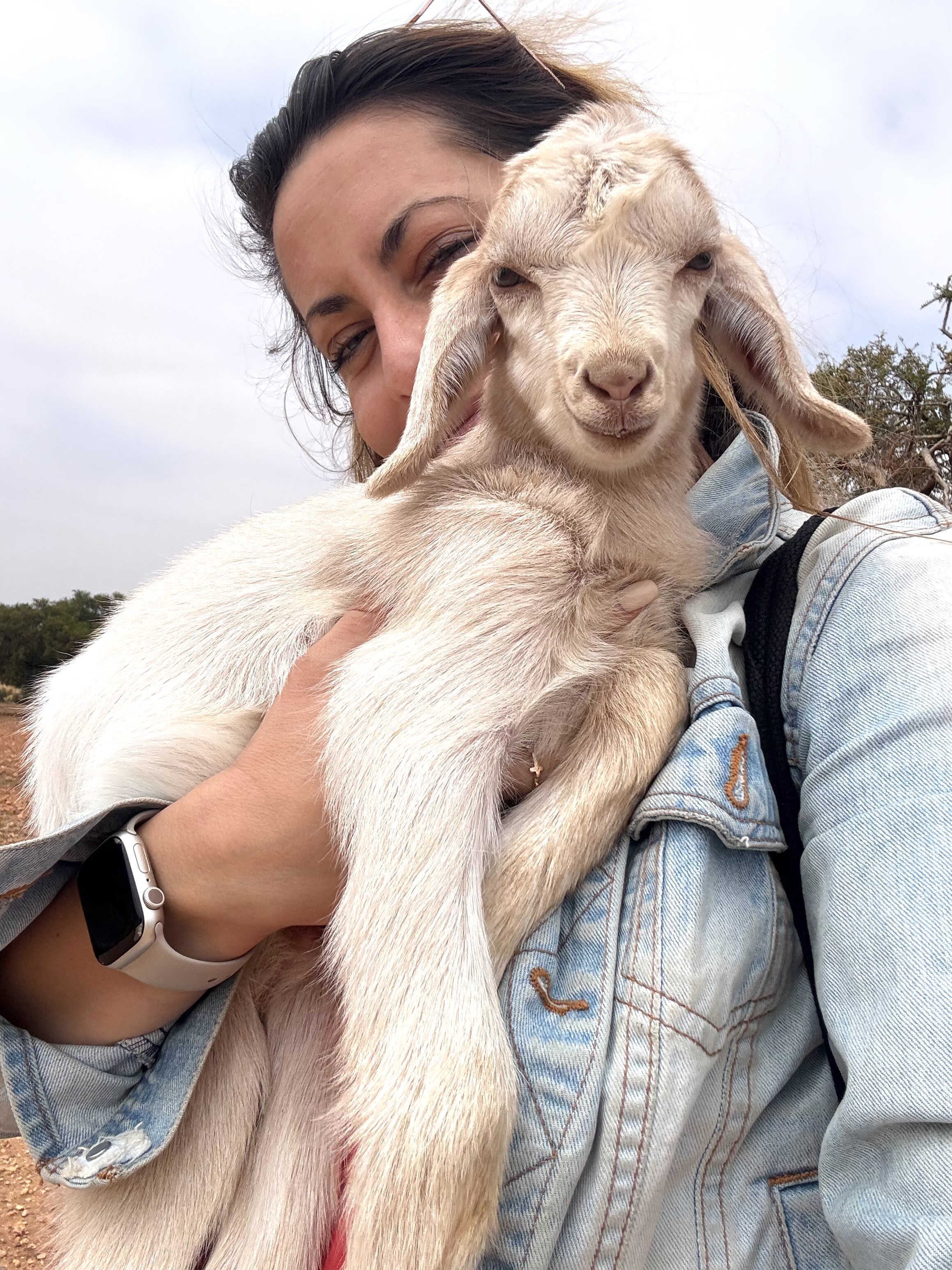 Марракеш:город сказок.Индивидуальный тур. (13/55)