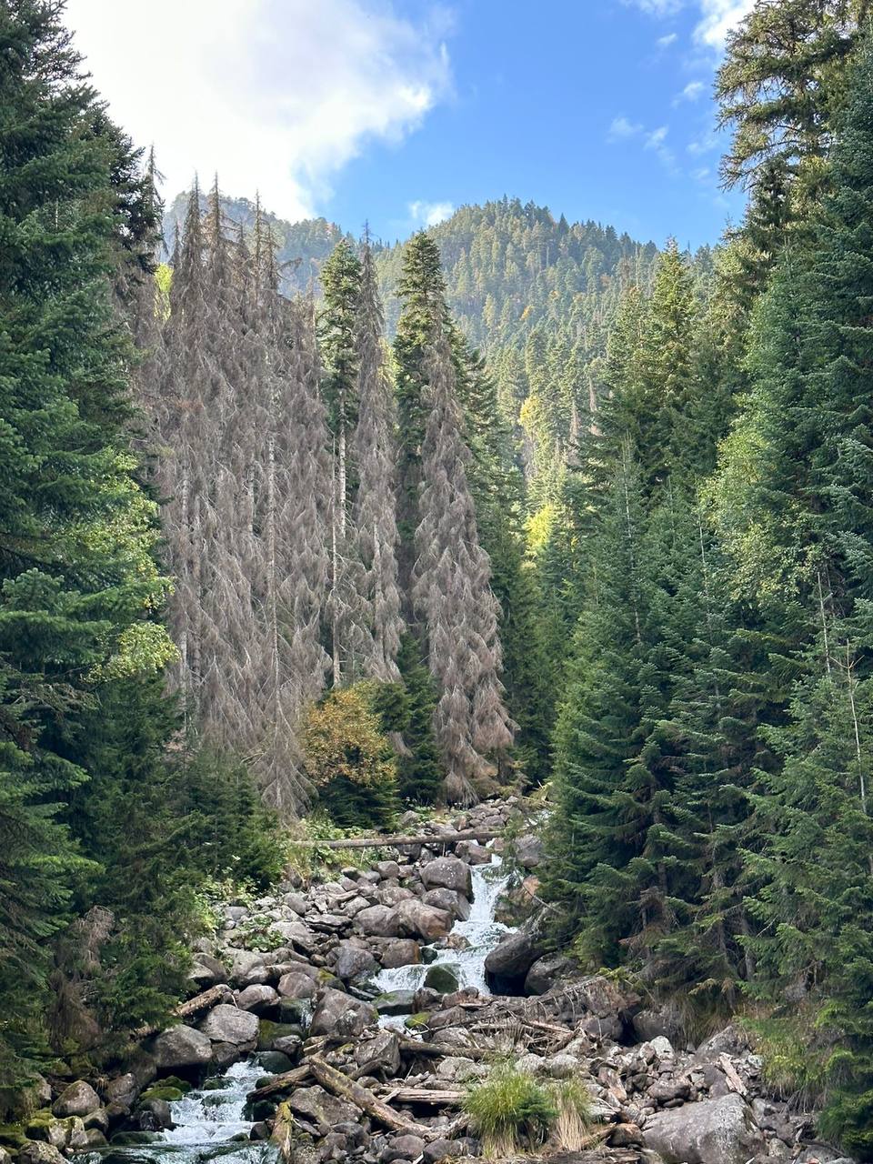 От Архыза до Осетии. Максимум локаций Кавказа за 12 дней (34/72)