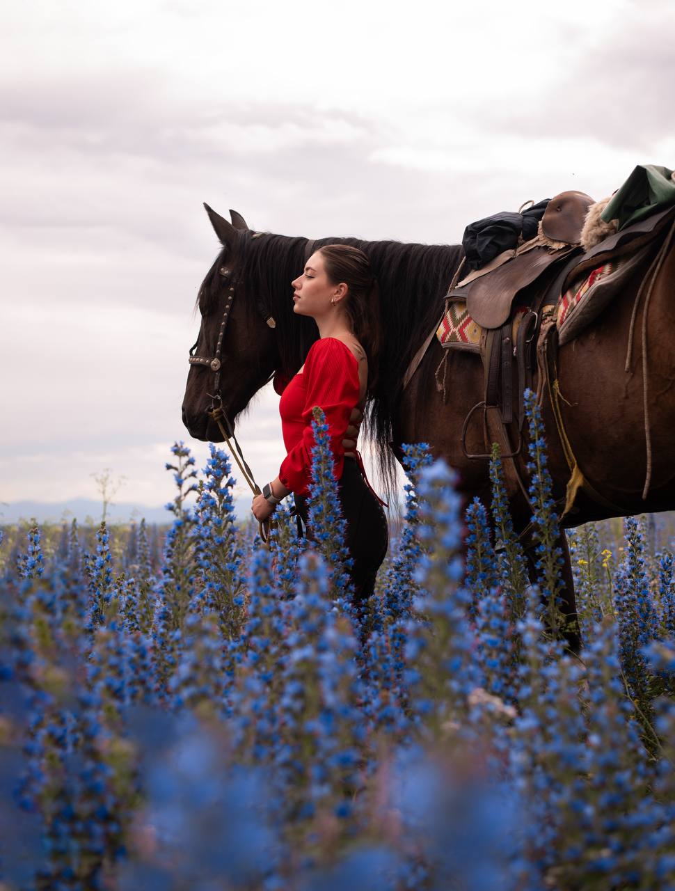 Конный фототур для уверенных всадников (8/34)