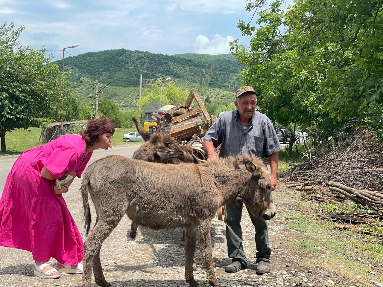 Изобильная Грузия (44/128)