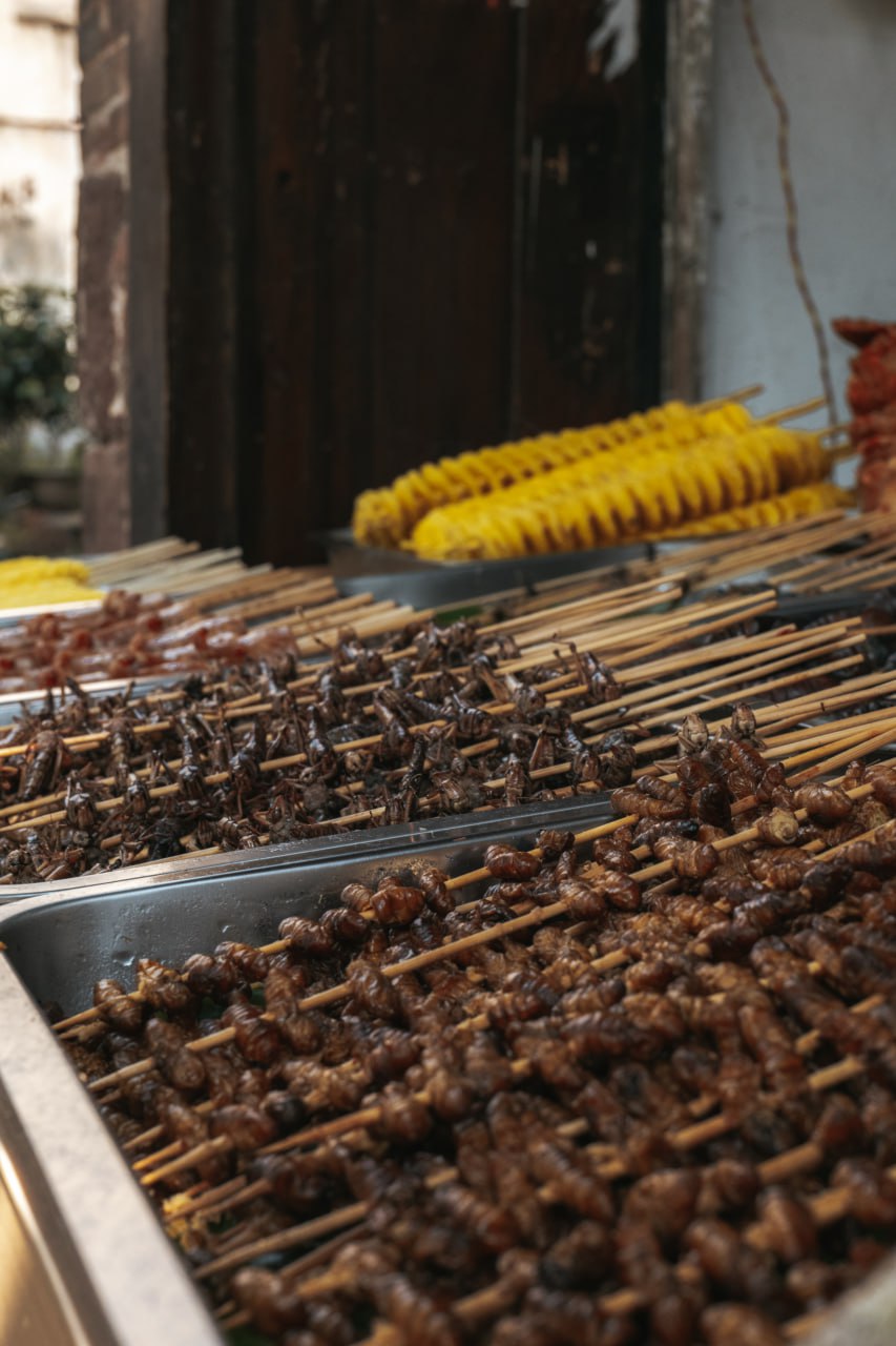 Китай.Поднебесная без границ (53/88)