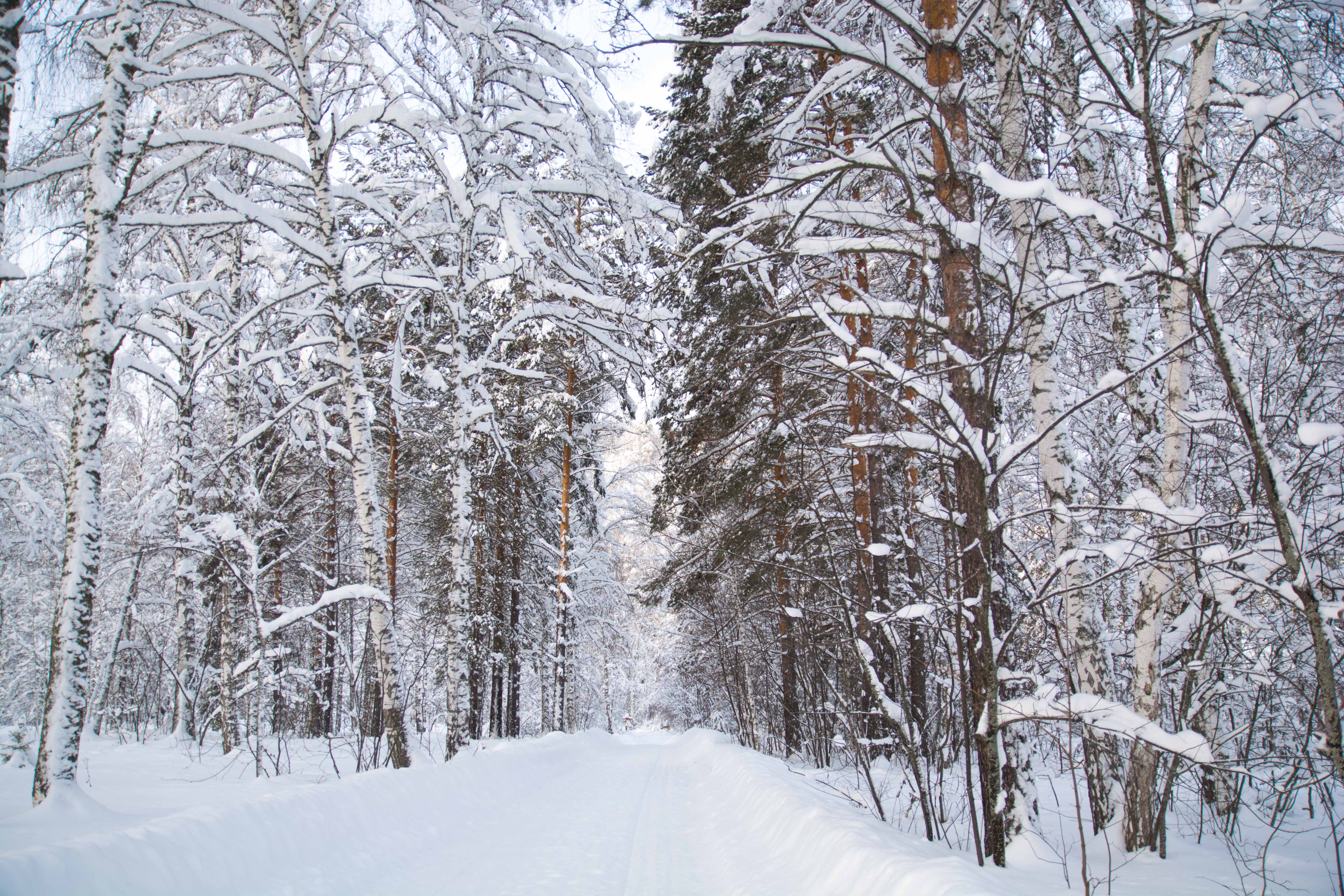 Зимняя Башкирия 