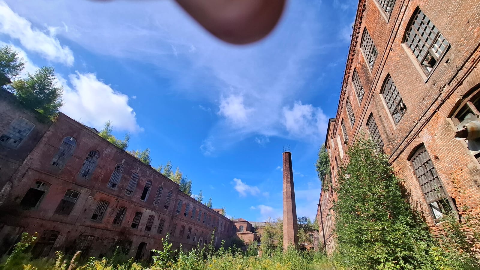 Плес- Шуя-Палех - Иваново (3/34)