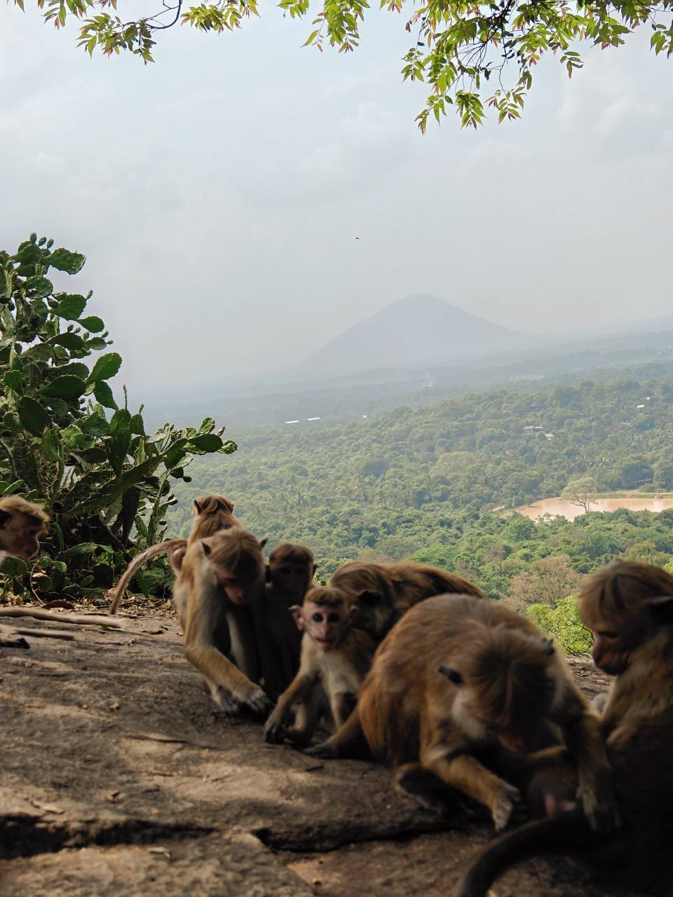 Шри-Ланка, лучшие места и скрытые жемчужины острова (11/60)