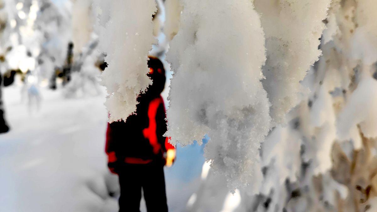 Новогодний Мега-тур Зимняя сказка Башкирии
