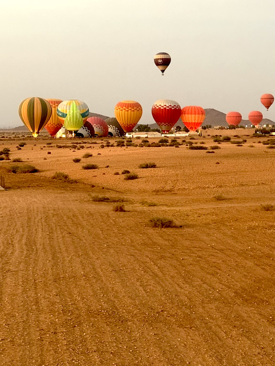 Марракеш:город сказок.Индивидуальный тур. (3/55)