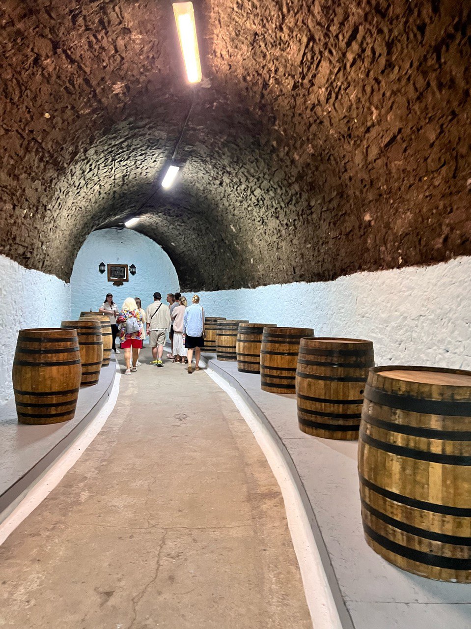 Винный тур в Крым: Весь Крым в бокале! (11/36)