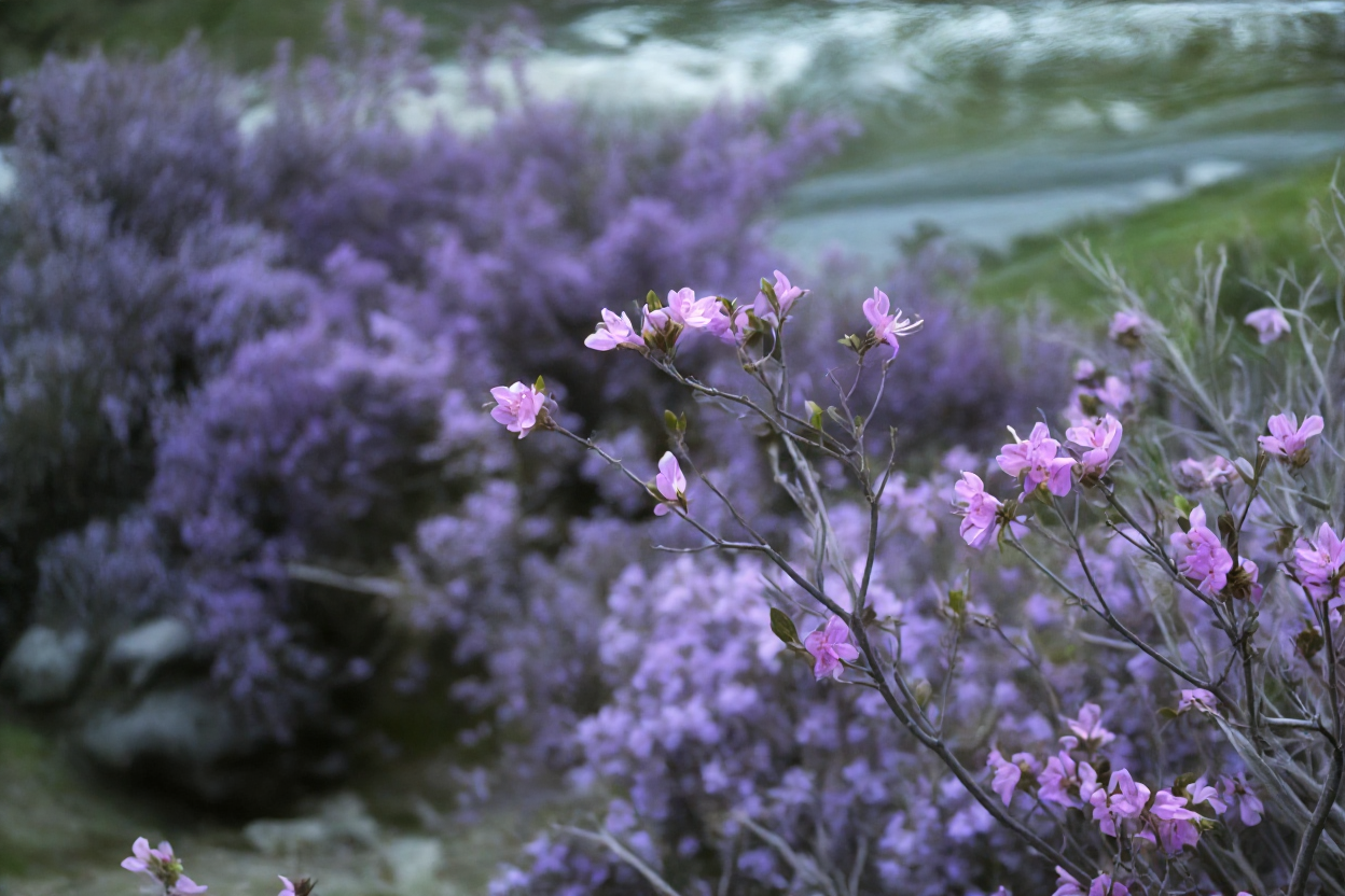 Автотур Красота Маральника, 3 дня (5/15)