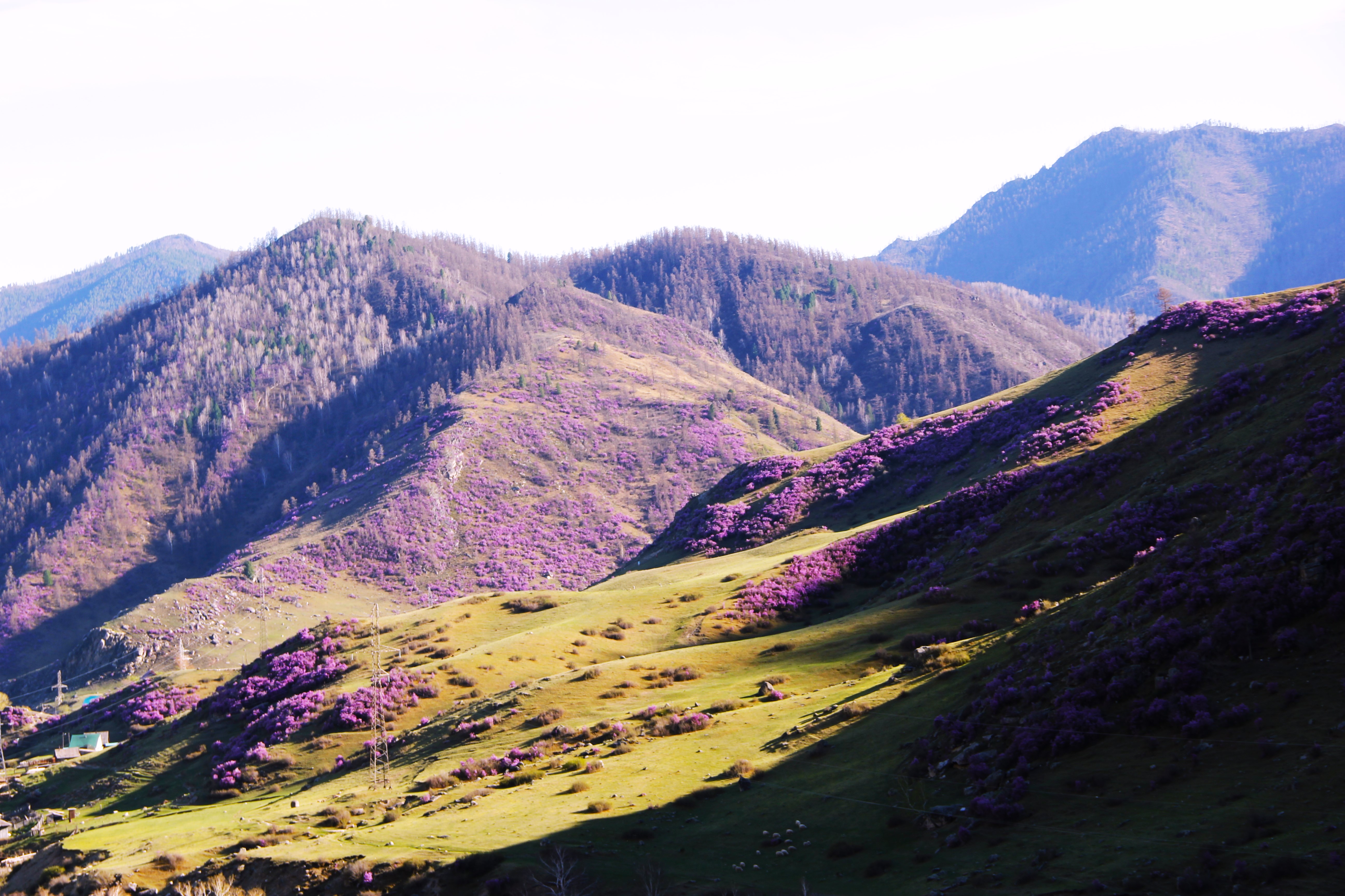 Автотур Красота Маральника, 3 дня (3/15)