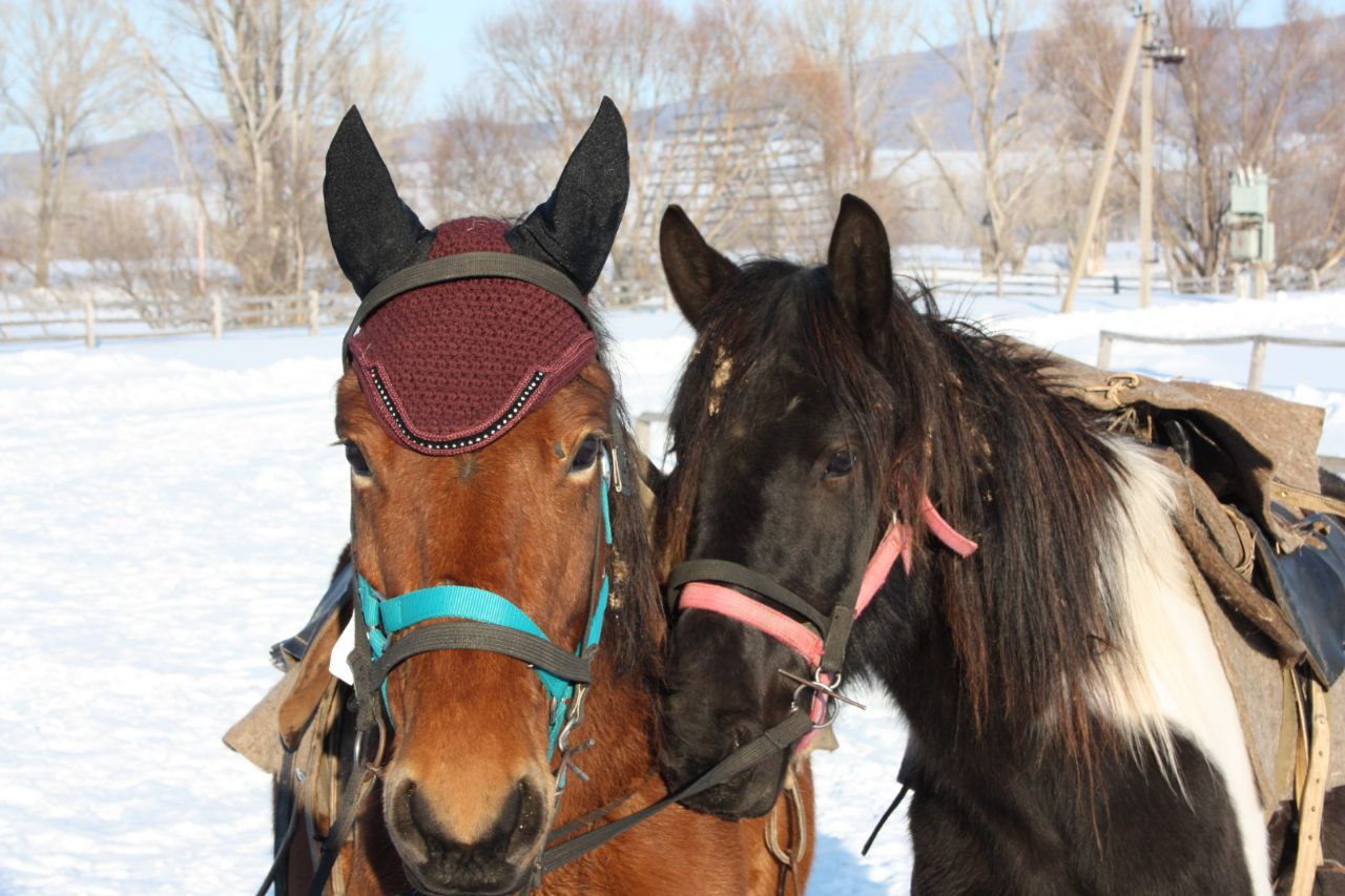 Близкий Урал: горы, скалы (2/16)