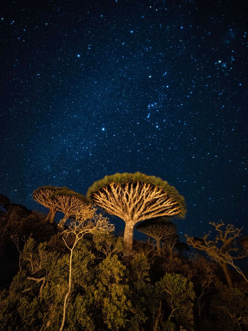 Сокотра: Все сокровища острова за 8 дней