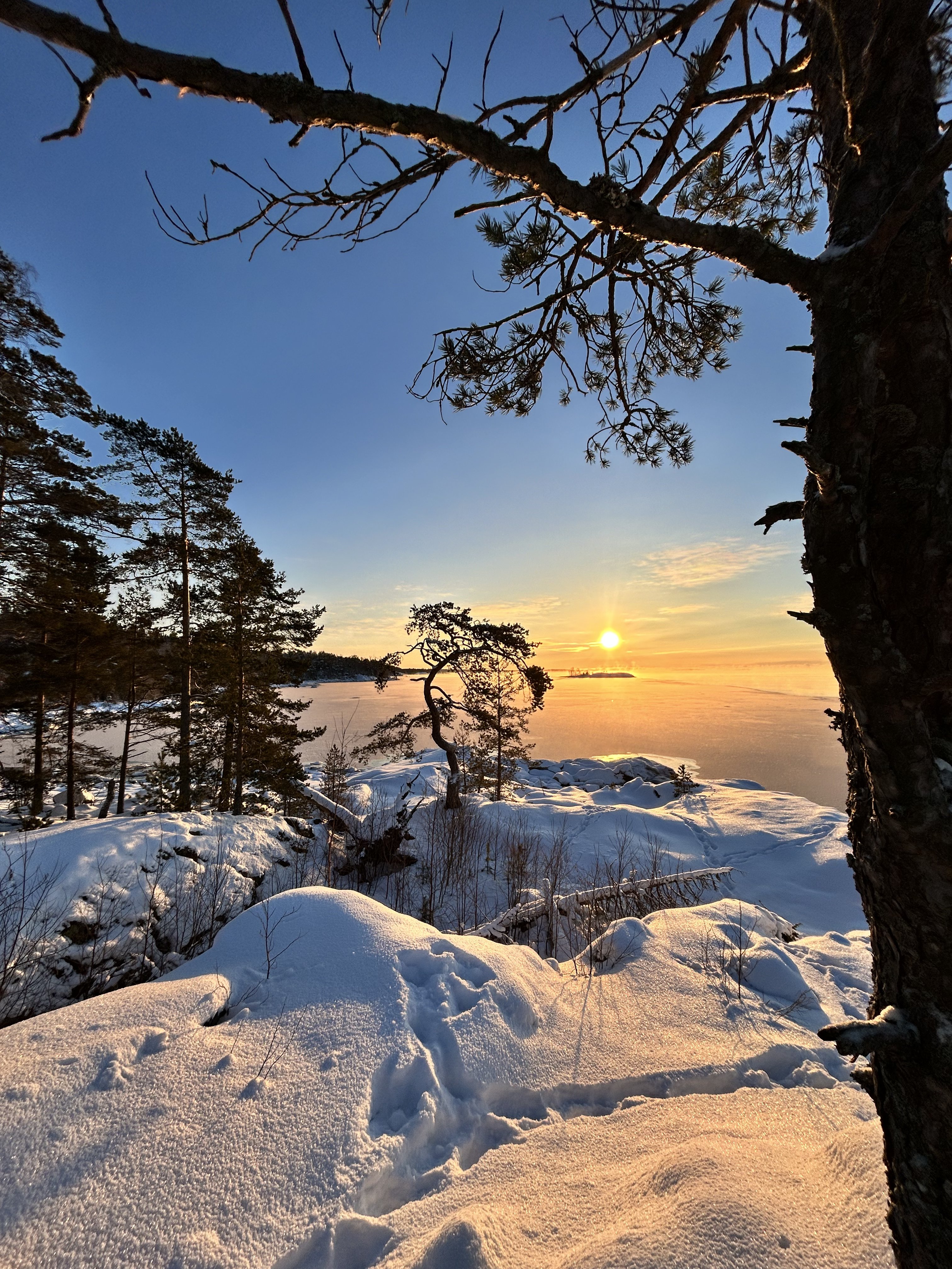 Зимняя сказка. Лучшие места и Глэмпинг. Комфорт, мини группы, любые даты (47/67)