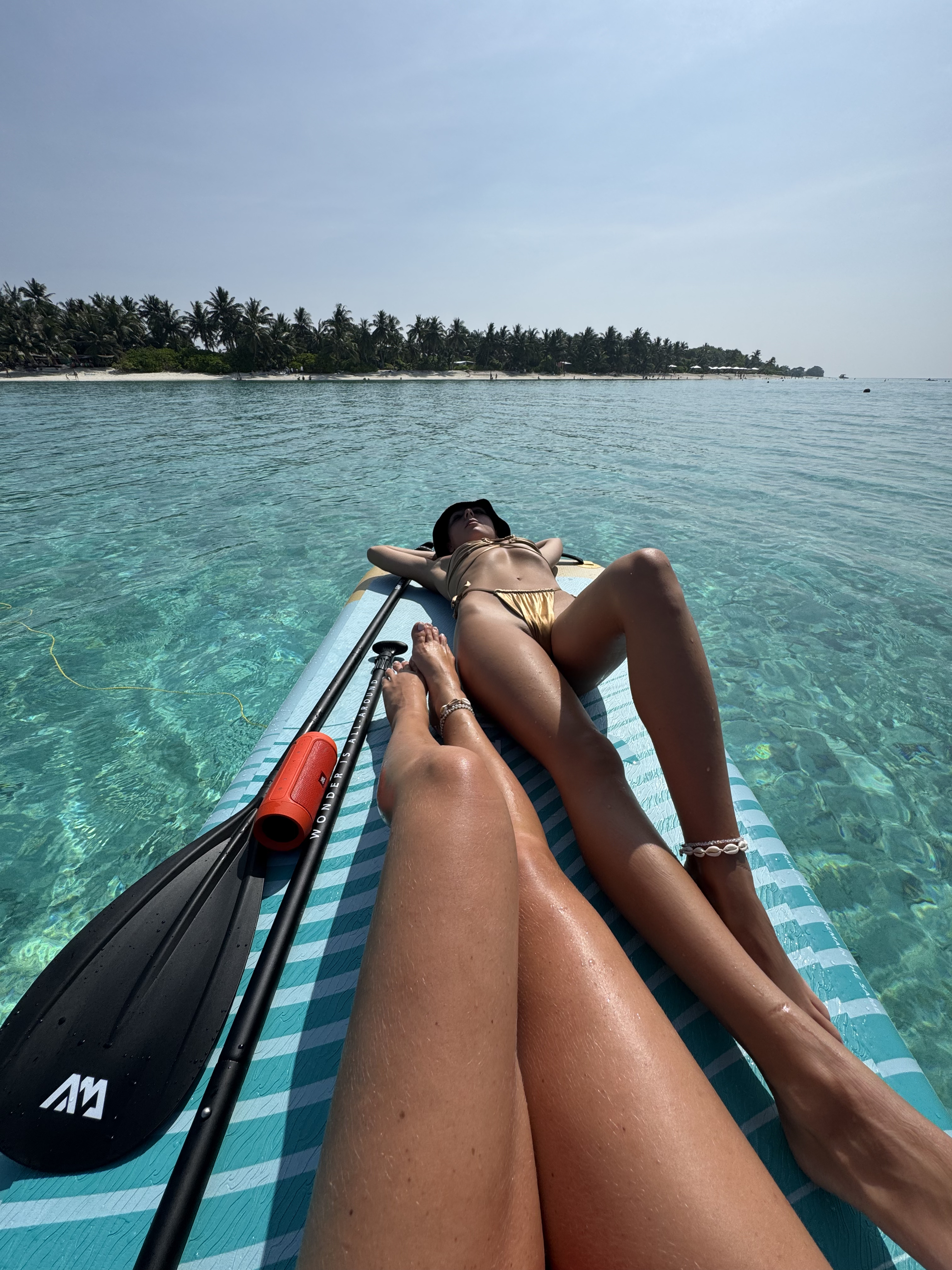 Домашний риф