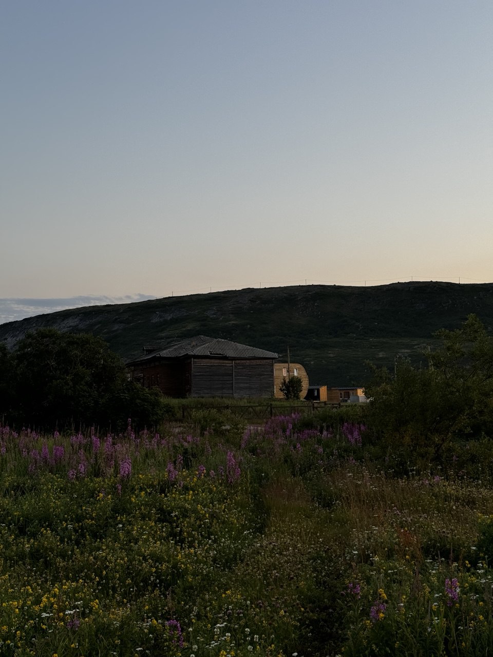 Киты зовут: открой для себя таинственные глубины! (9/9)