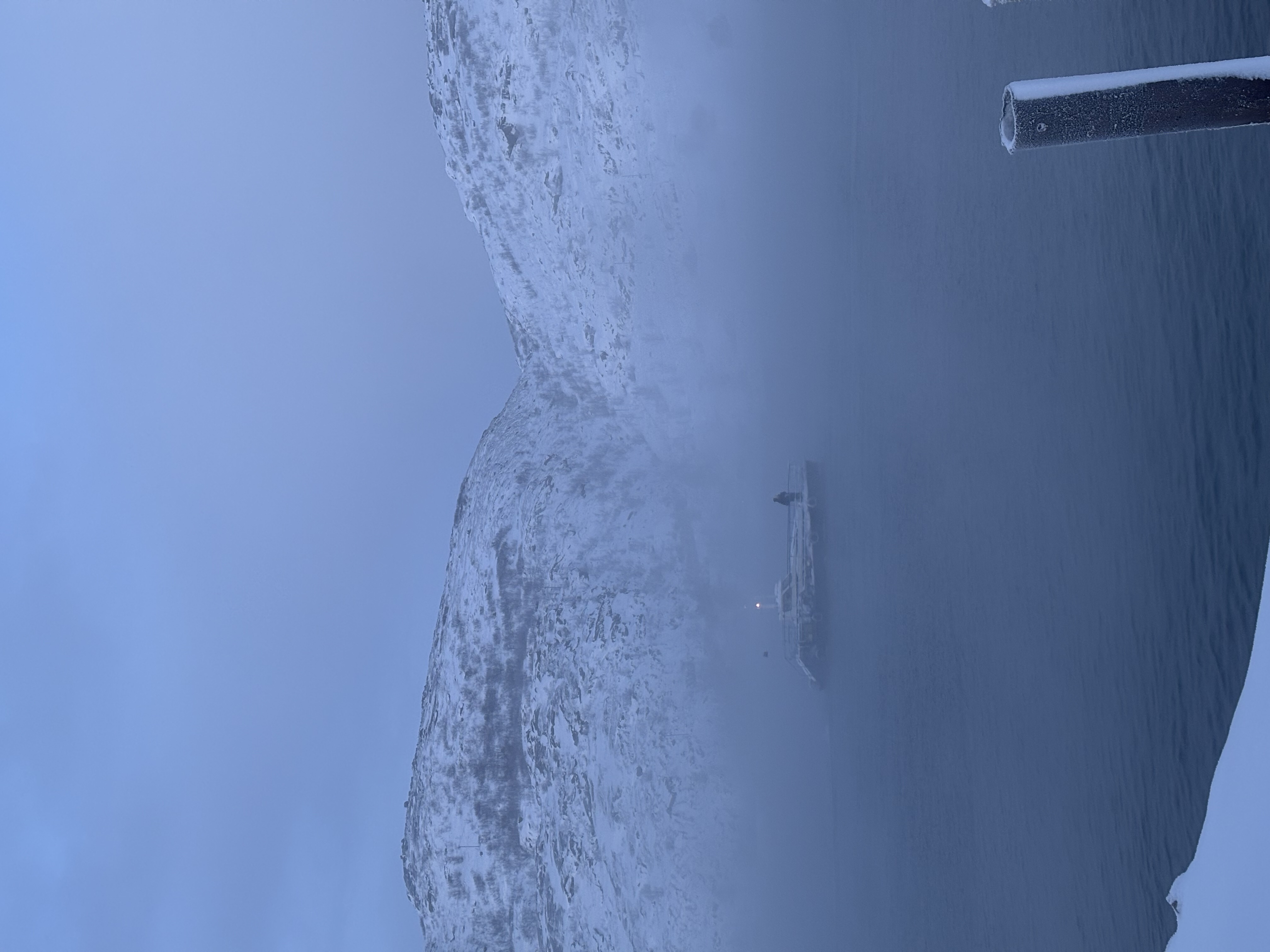 Киты зовут: открой для себя таинственные глубины! (8/9)