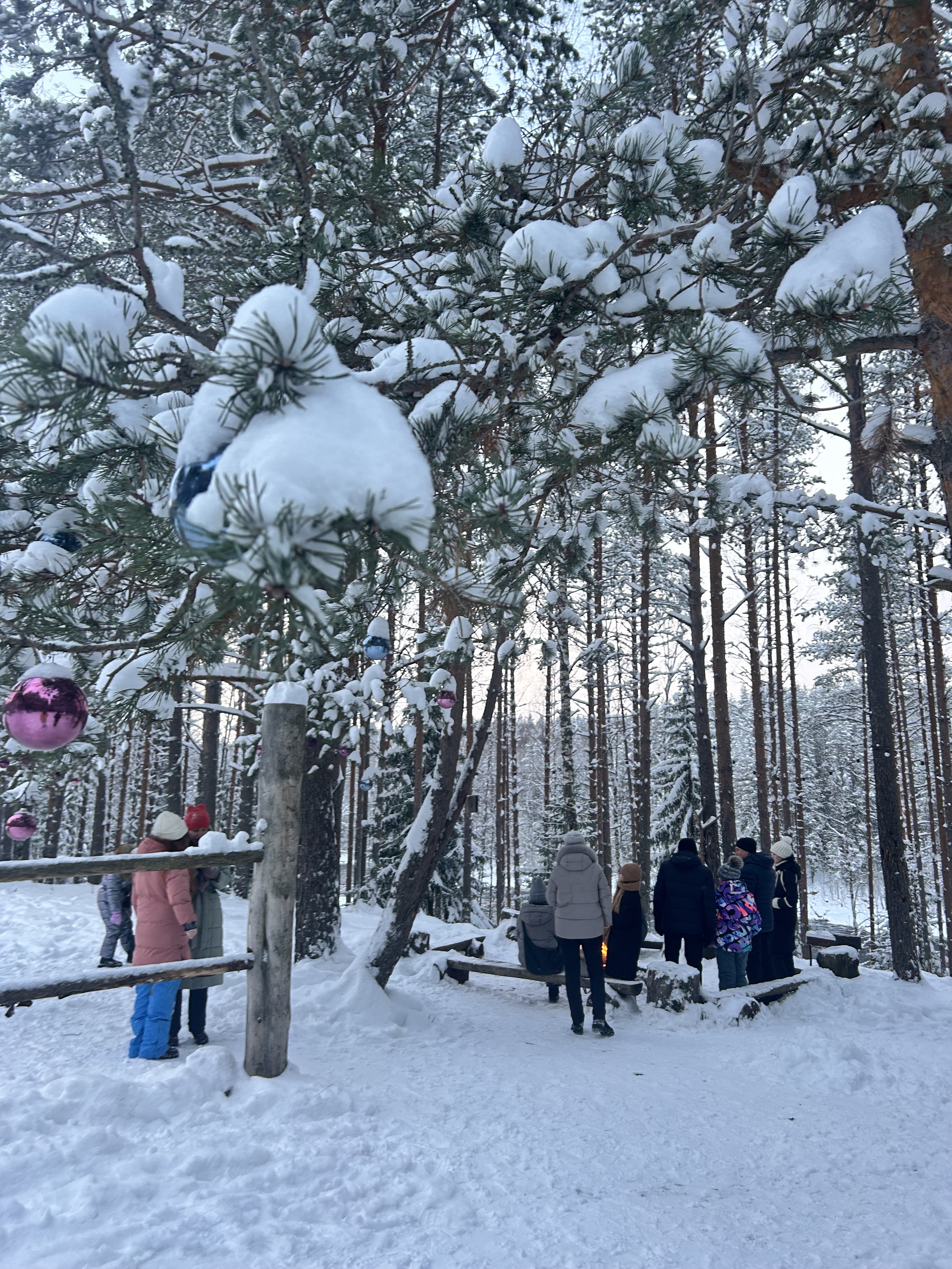 Зимняя сказка. Лучшие места и Глэмпинг. Комфорт, мини группы, любые даты (49/67)