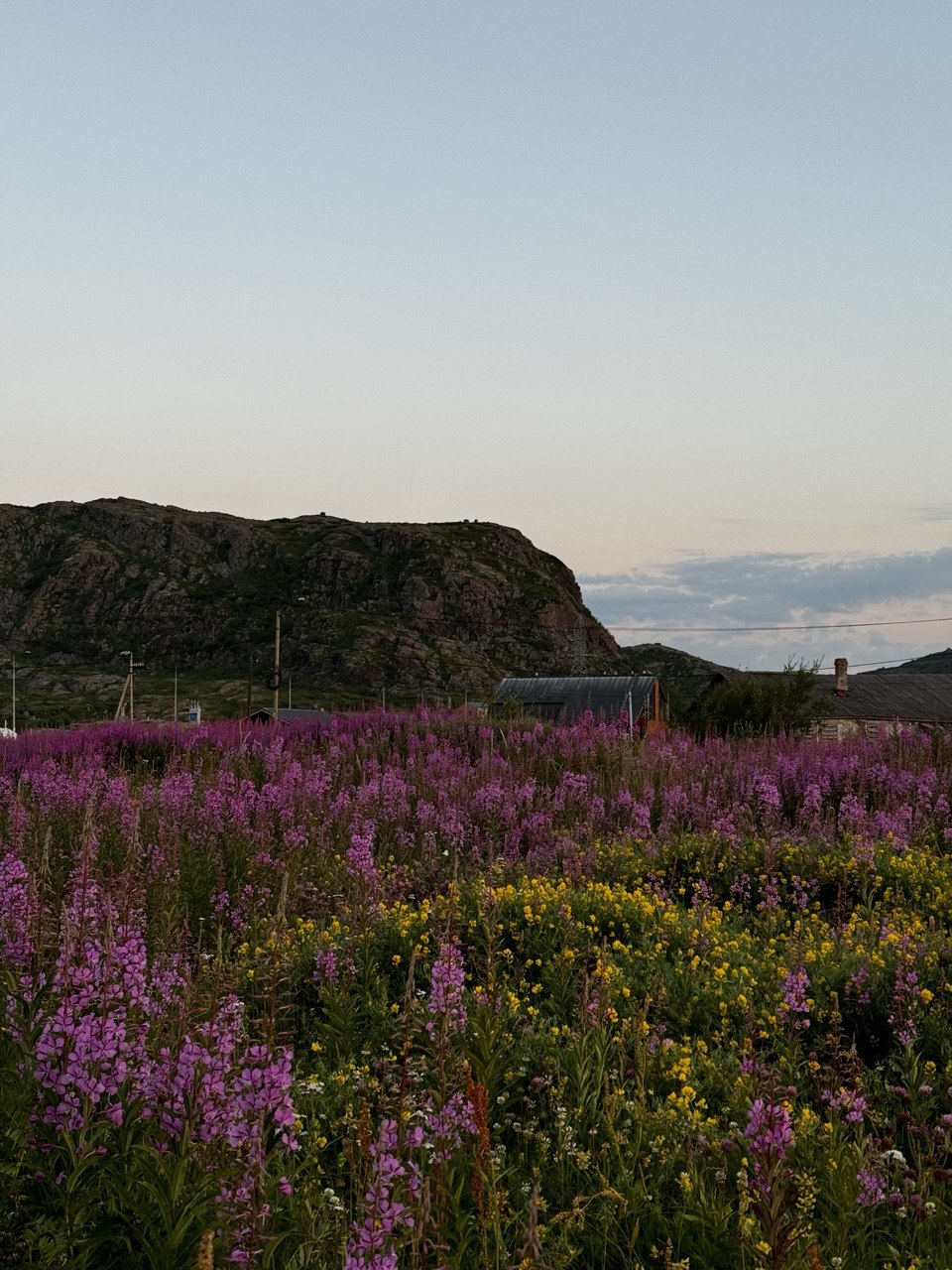 Териберка: место, где северный край встречается с теплом сердца. (10/11)