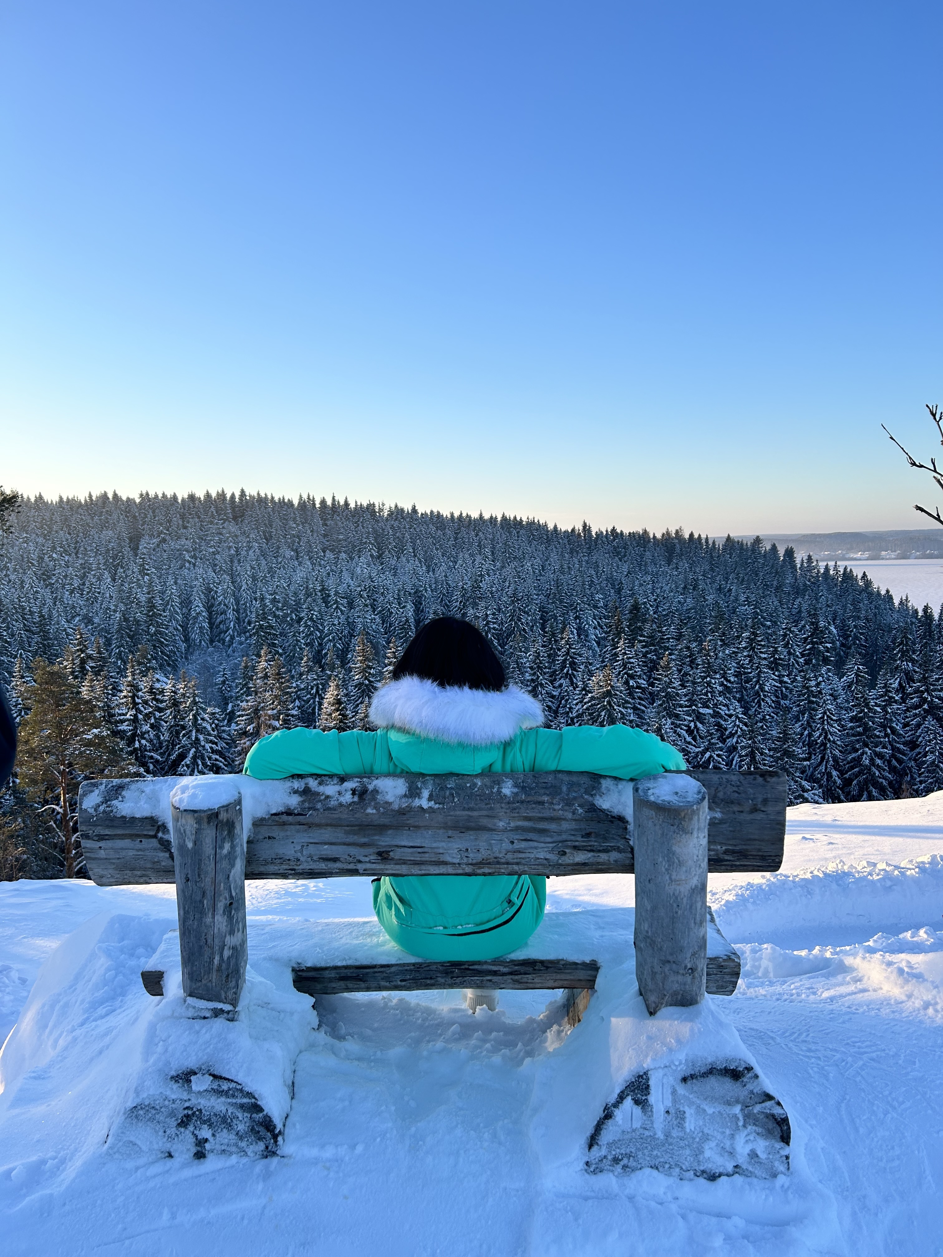 Карельская сказка. Лучшие места и Глэмпинг с панорамным видом