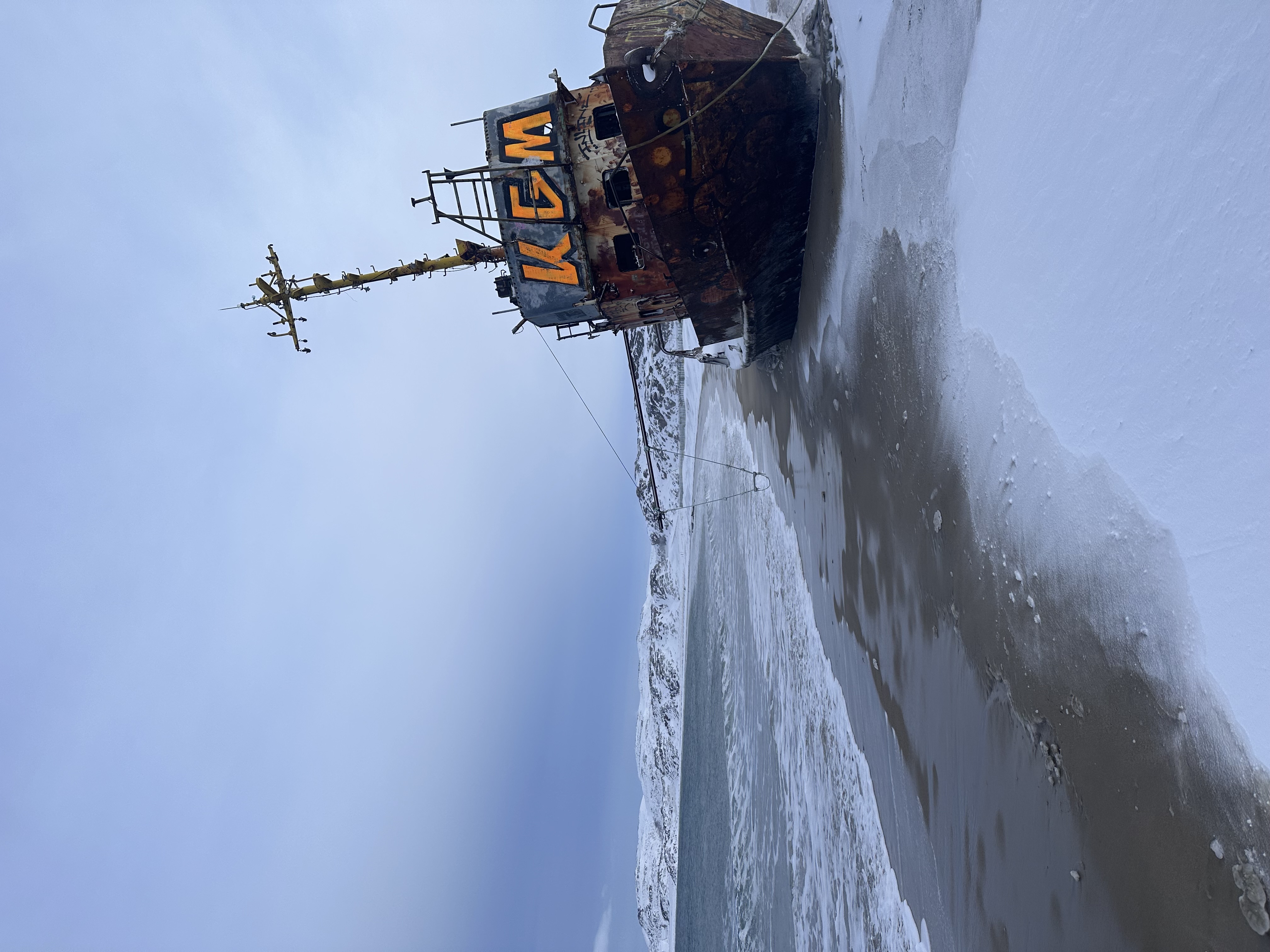 Киты зовут: Открой для себя таинственные глубины