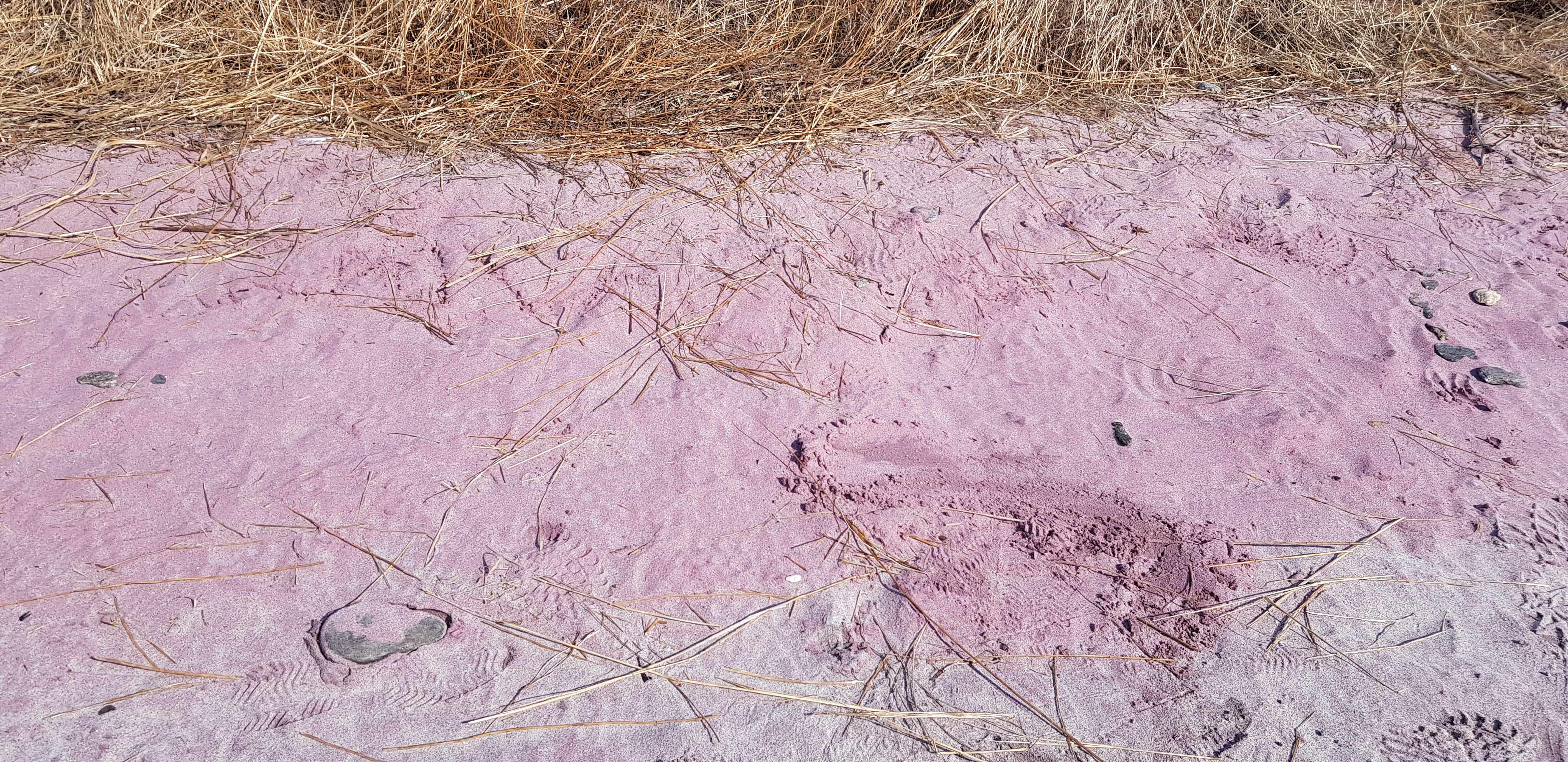 Дары и сияние Байкала от Иркутска до Ольхона. Комфорт. (46/108)