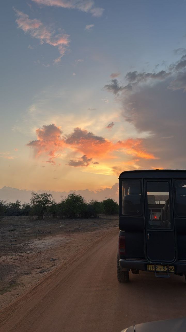Комбо тур на 1 день Элла + Сафари Яла забираем с любого города Шри-Ланки (16/16)