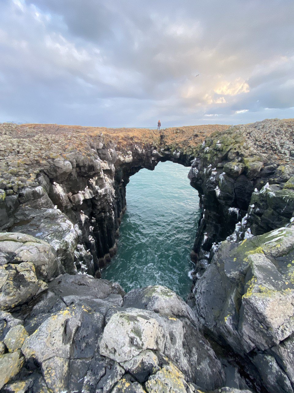 Исландия. Индивидуальный люкс. Размещение в отелях (6/24)