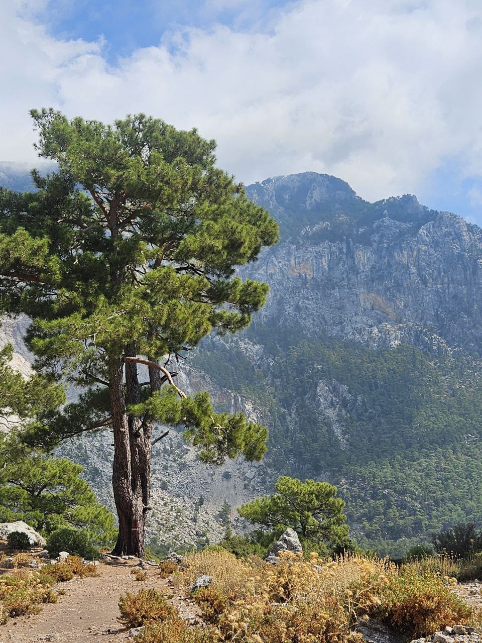 Поход по Западной Ликийской тропе (9/44)
