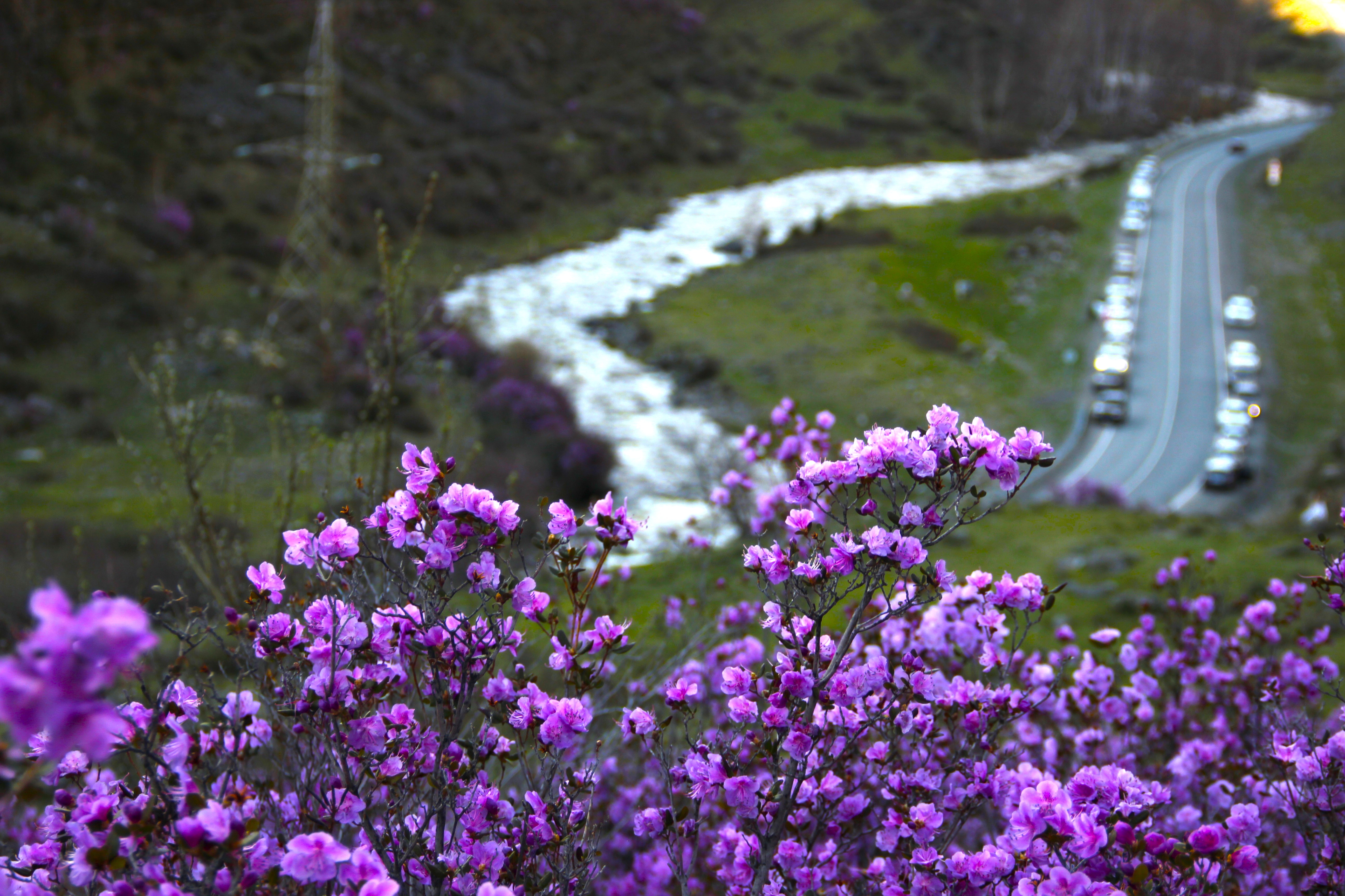 Автотур Красота Маральника, 3 дня (6/15)