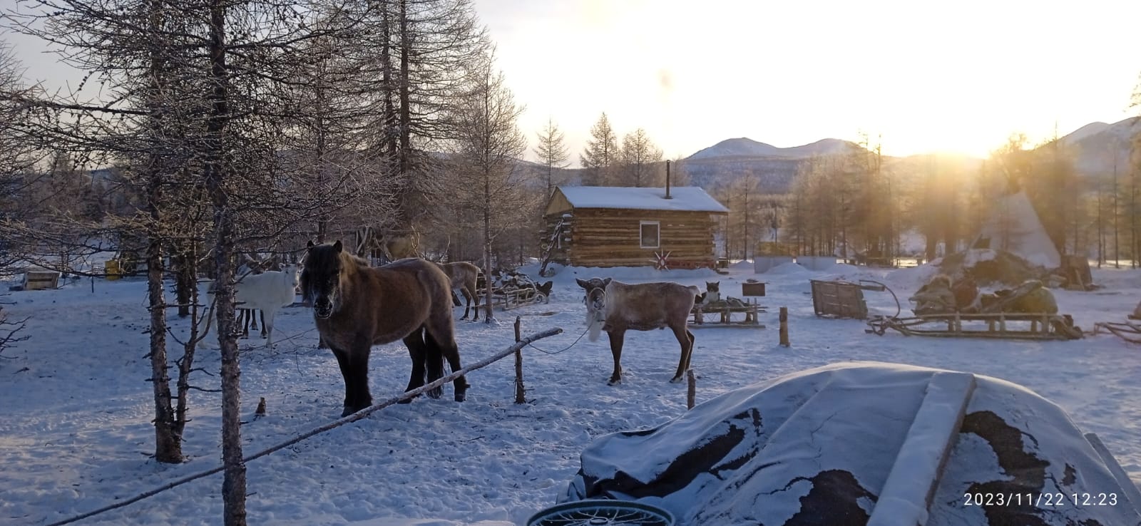 Многодневная экспедиция Ледяная сага Севера - Полюс Холода Оймякон (11/23)