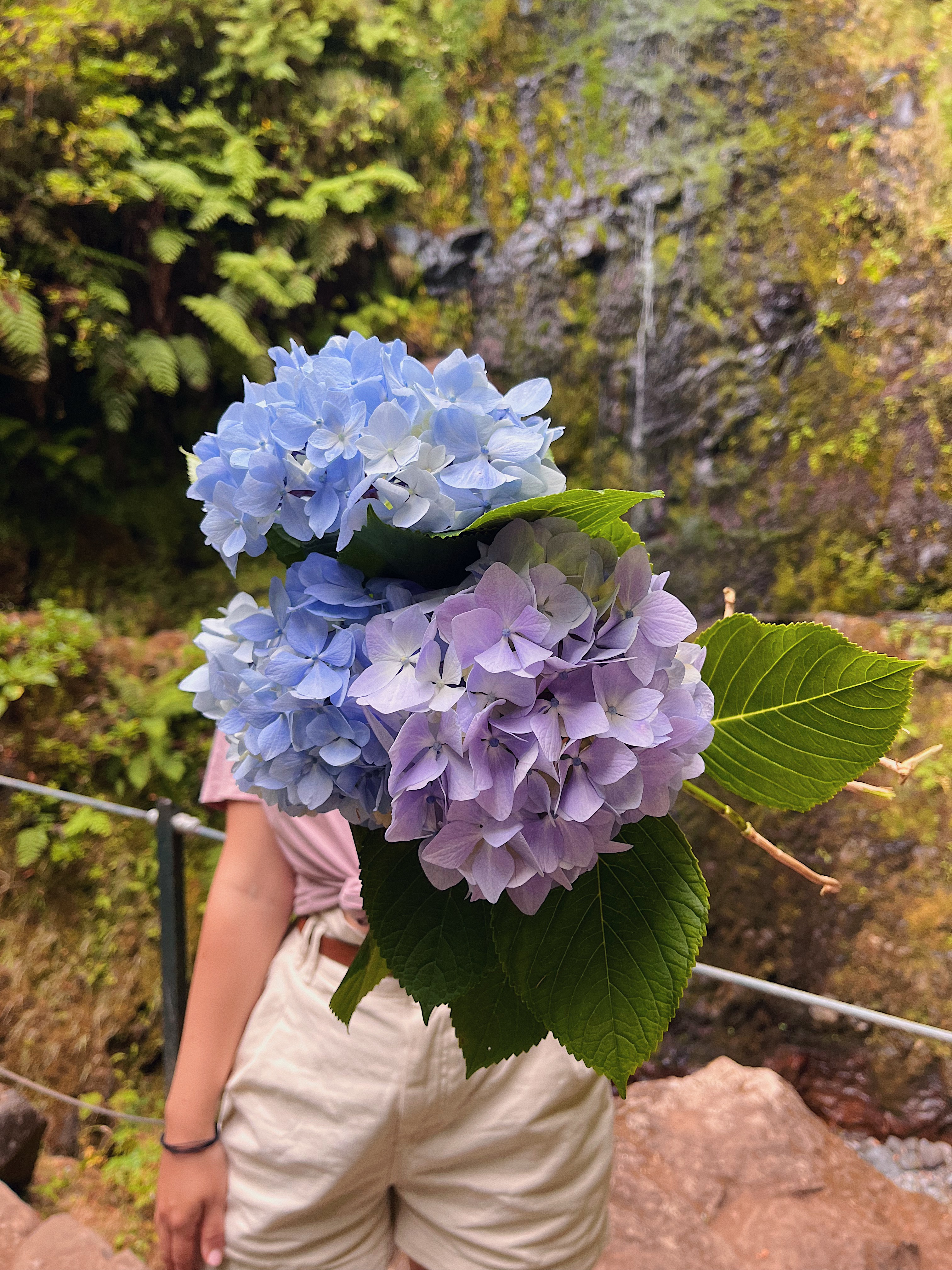 Путешествие на Азорские острова для девушек! Остров Сан-Мигел (11/36)