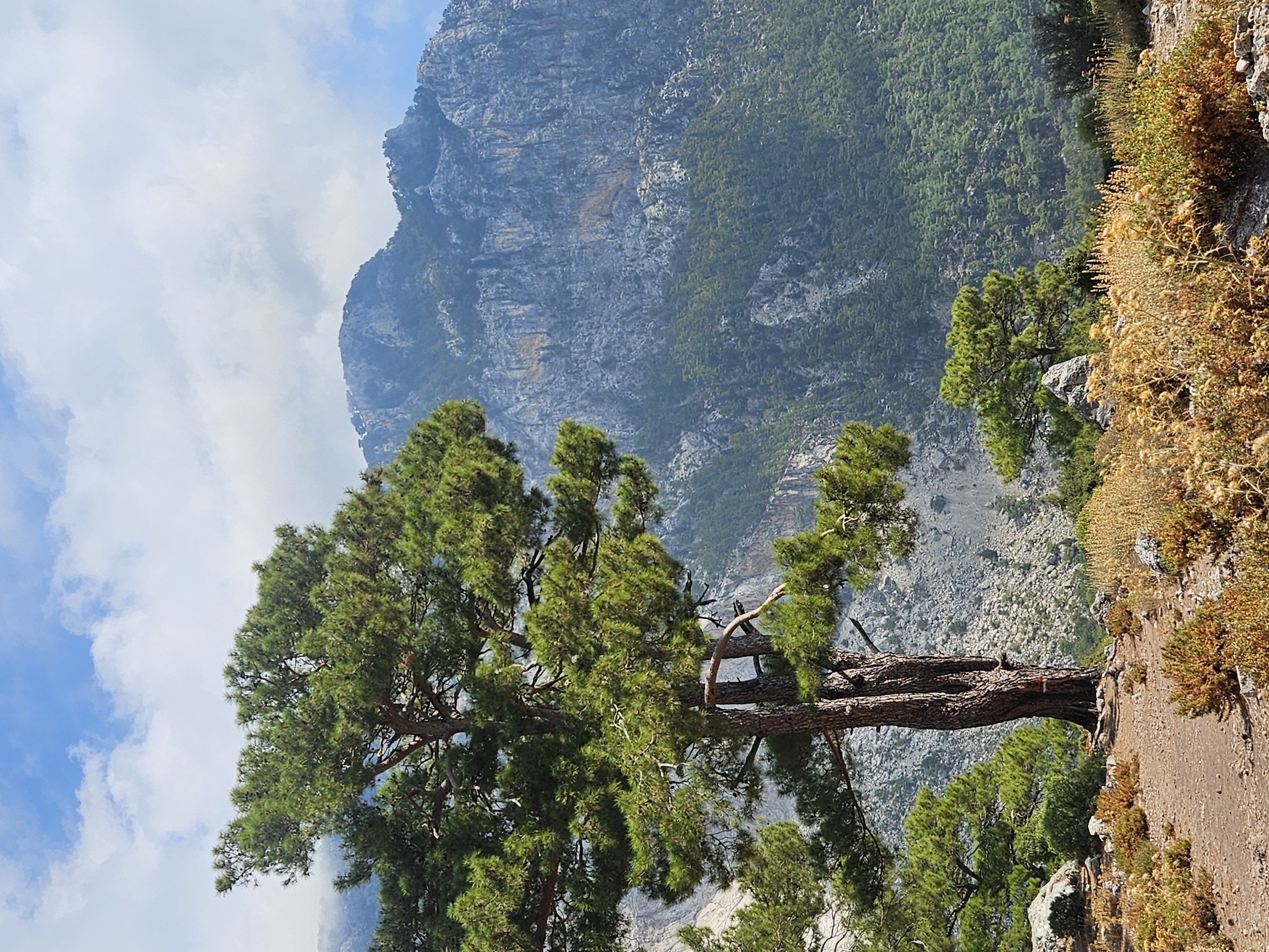 Поход по Восточной Ликийской тропе с восхождением на Тахталы (15/42)