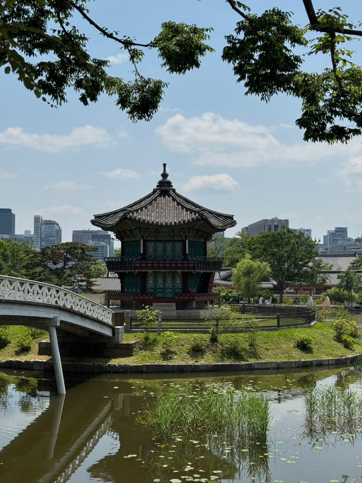 Путь фонарей: Сеул, Пусан и древний Кёнджу (6/13)