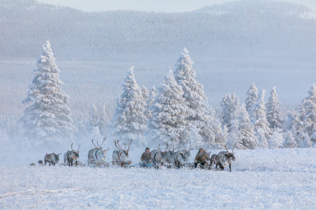 Многодневная экспедиция Ледяная сага Севера - Полюс Холода Оймякон (10/23)