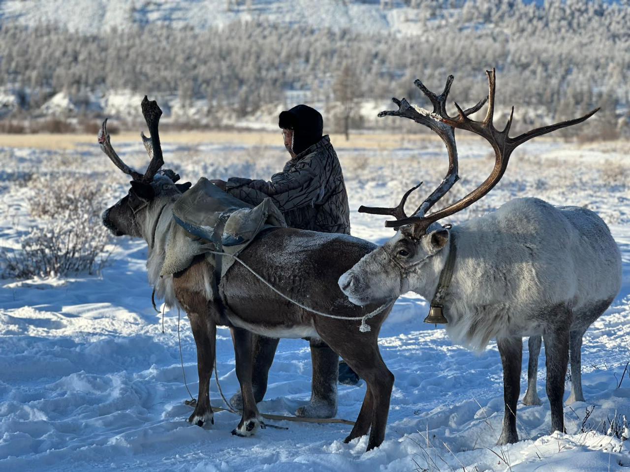 Многодневная экспедиция Ледяная сага Севера - Полюс Холода Оймякон (9/23)