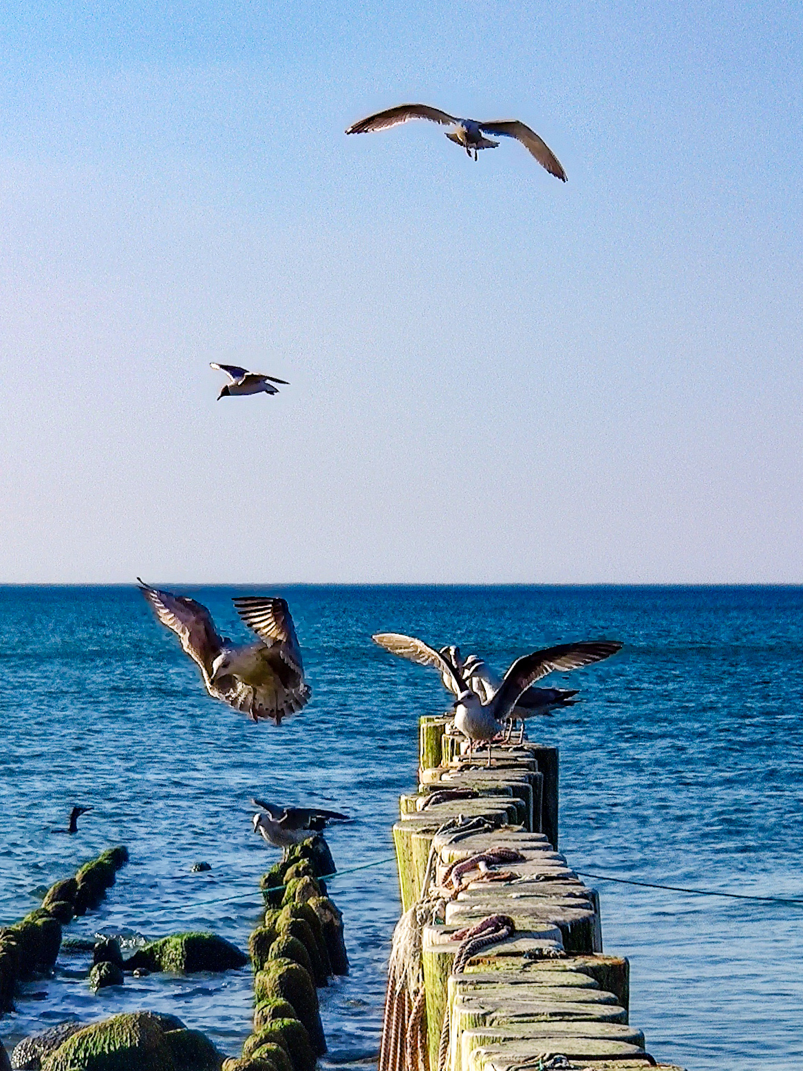 Дыхание Куршского залива, санаторно-оздоровительный тур