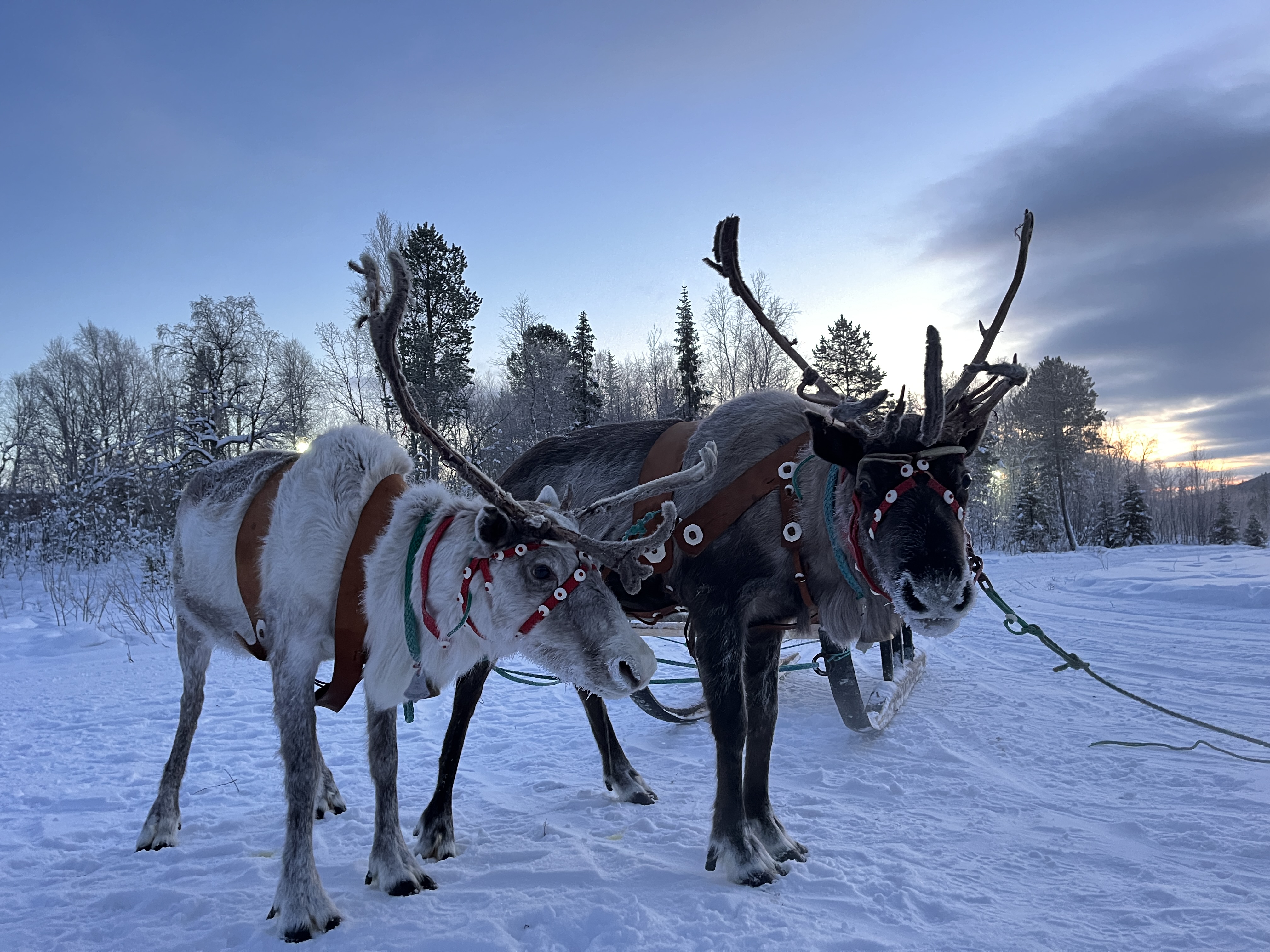 Кольский Weekend: Териберка пешая