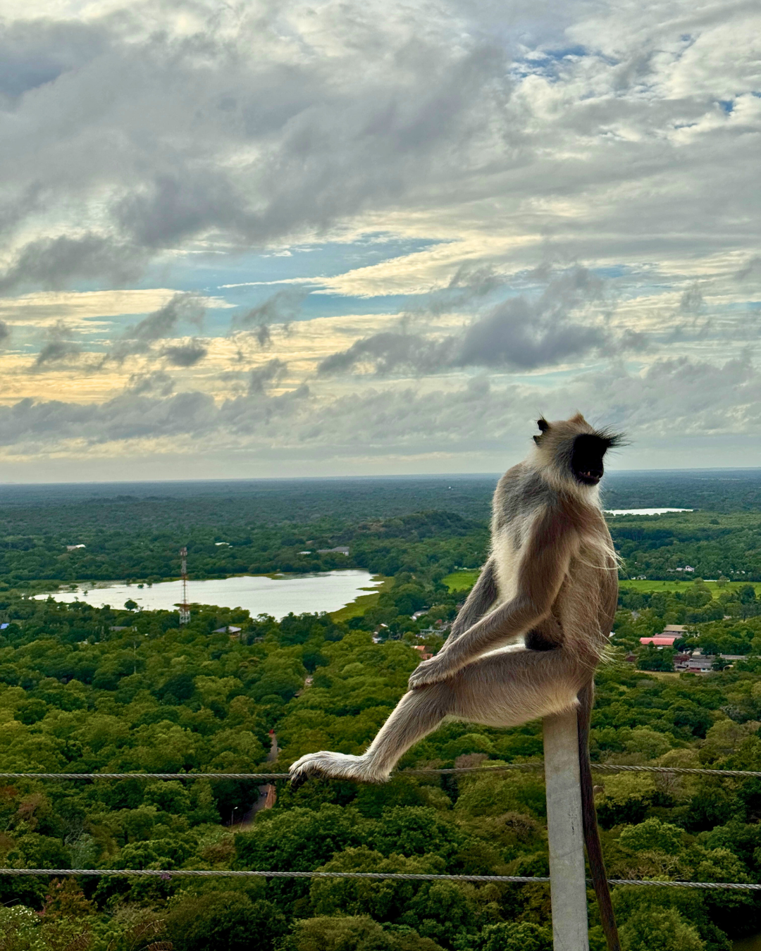 Север и восток Шри-Ланки: от нетронутых пляжей до богатого культурного наследия (43/126)